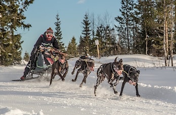 En flott løpshelg er forbi!