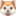🐶