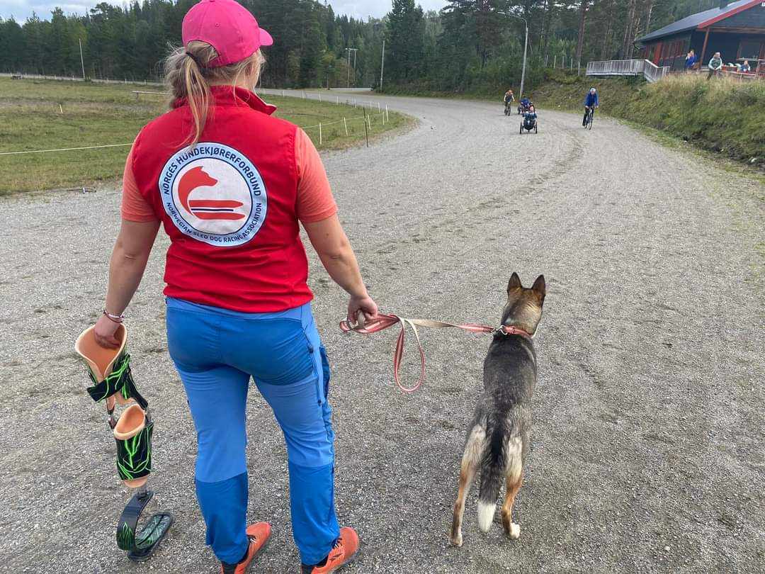 V&#xE5;r trenerl&#xF8;ype - husk p&#xE5;meldingsfrist til trener 1 2025 