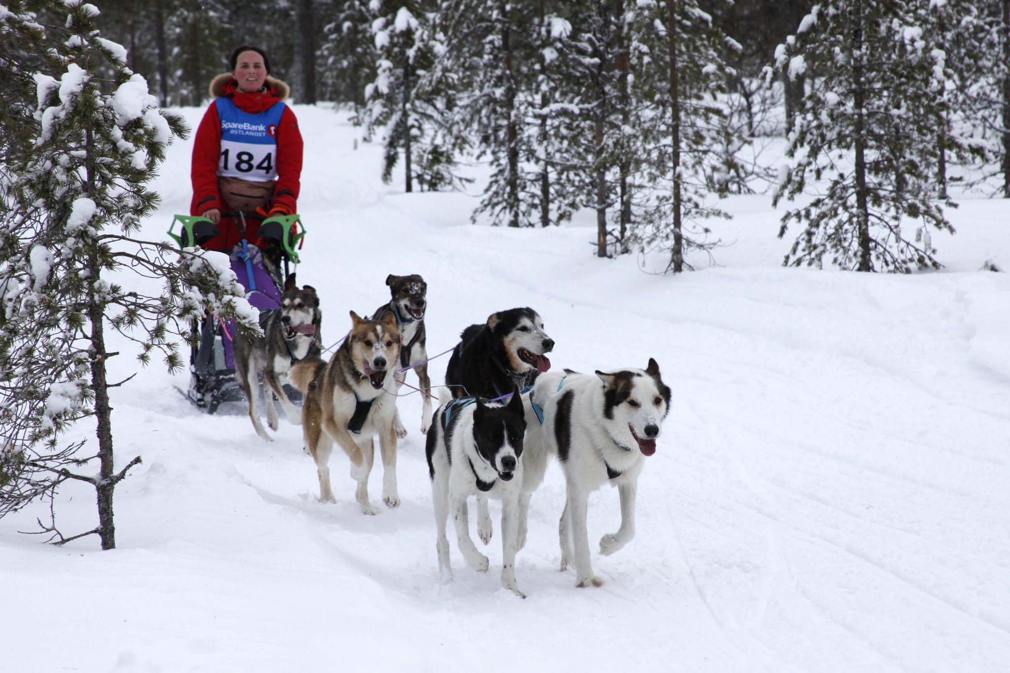 Rookiekurs og introkurs, hva er forskjellen? 