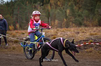 Bli med på familiedag i Askim!