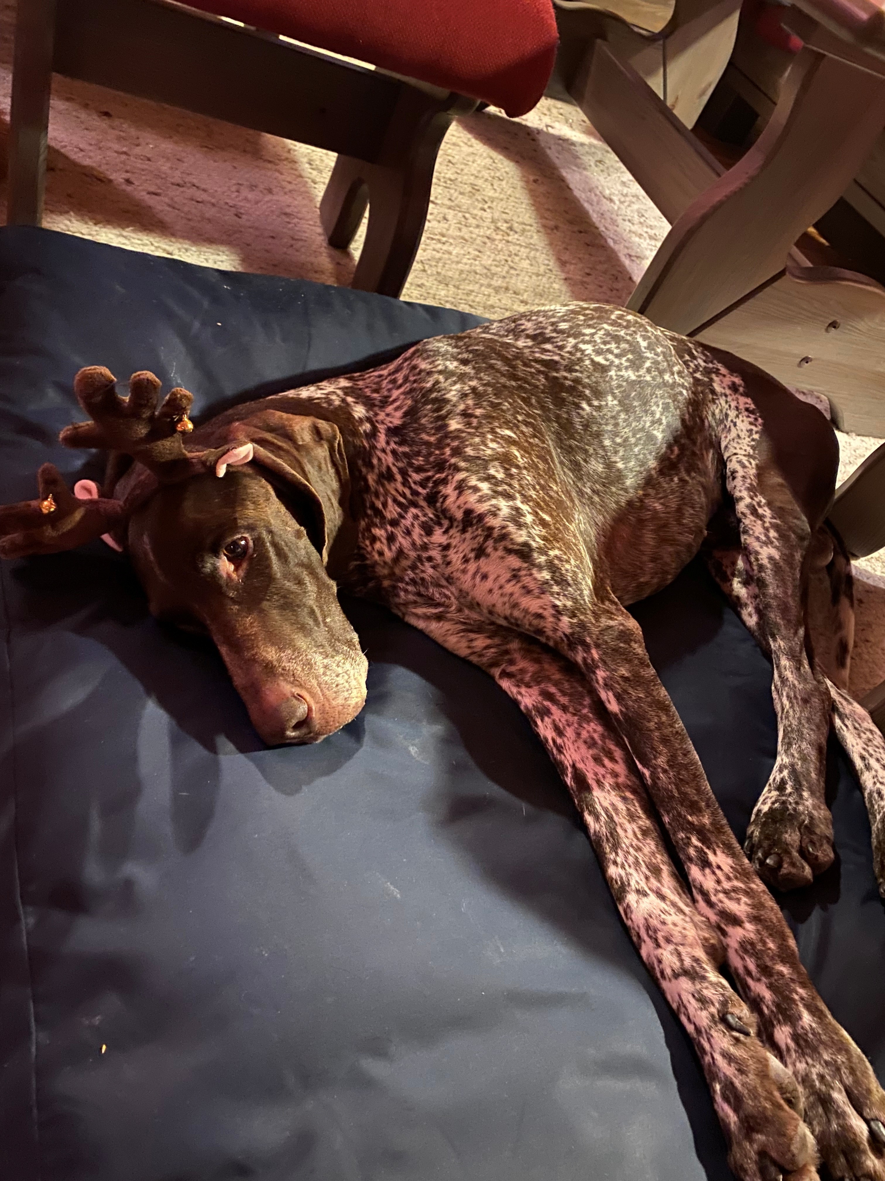 Image for Juleferie på kontoret