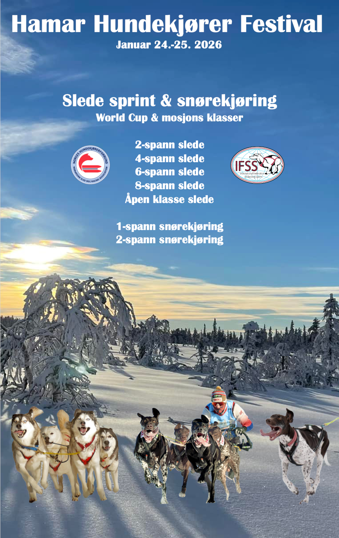 Skjermbilde 2025-11-30 kl. 15.48.53.png