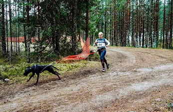 Landslaget barmark 2025 er nå tatt ut