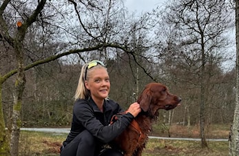 Ny hundekjører - her er våre tilbud til deg!