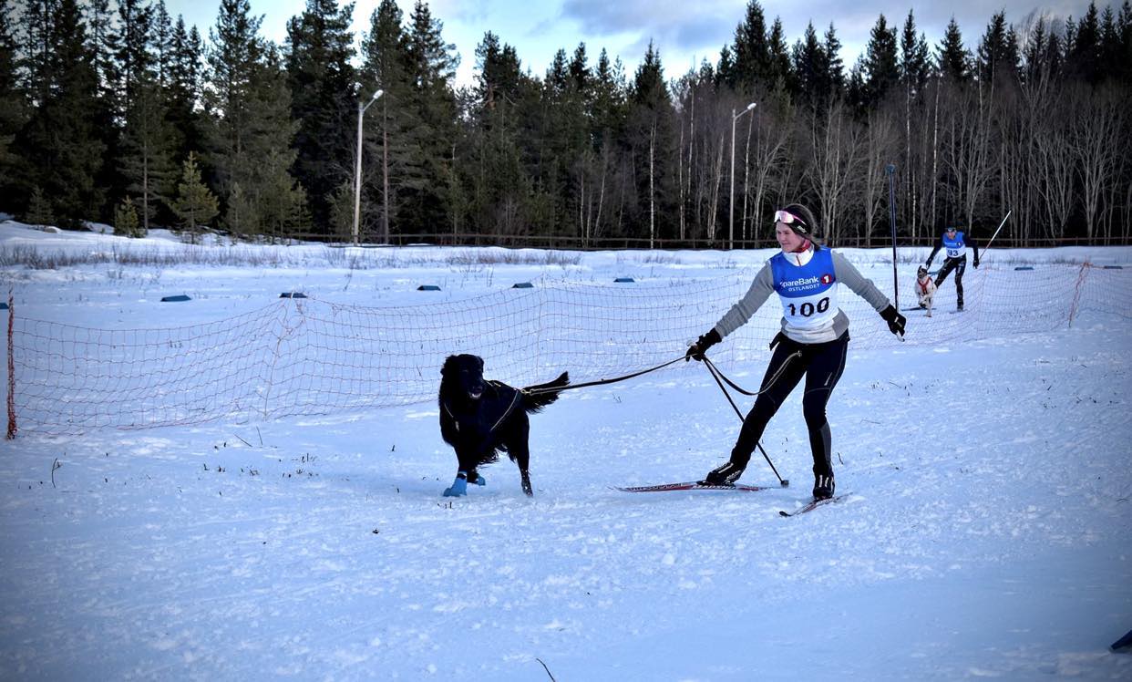 Image for Status mosjonsklassen 