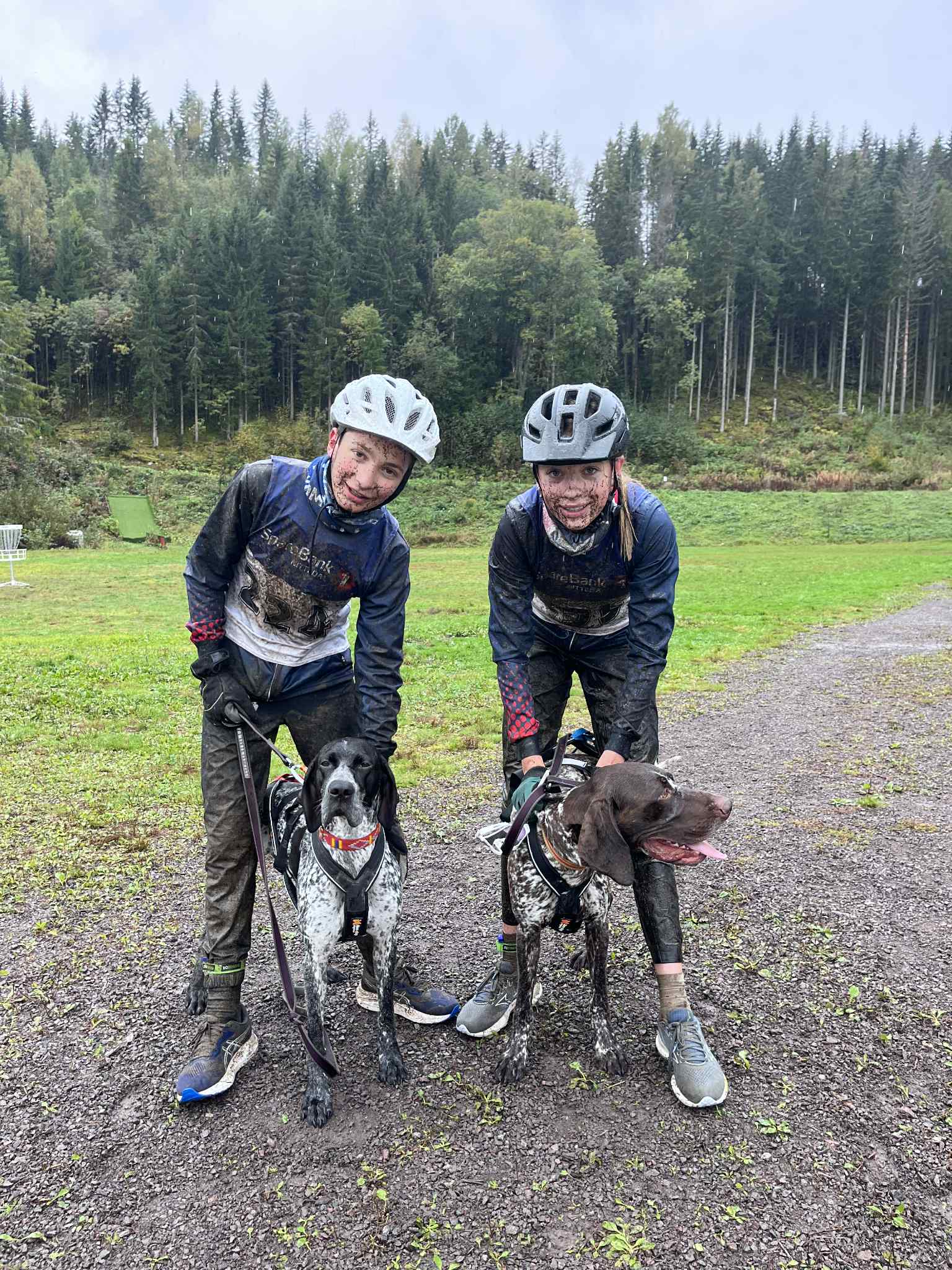 Image for Ung Hundekjøring - tanker fra en trener! 