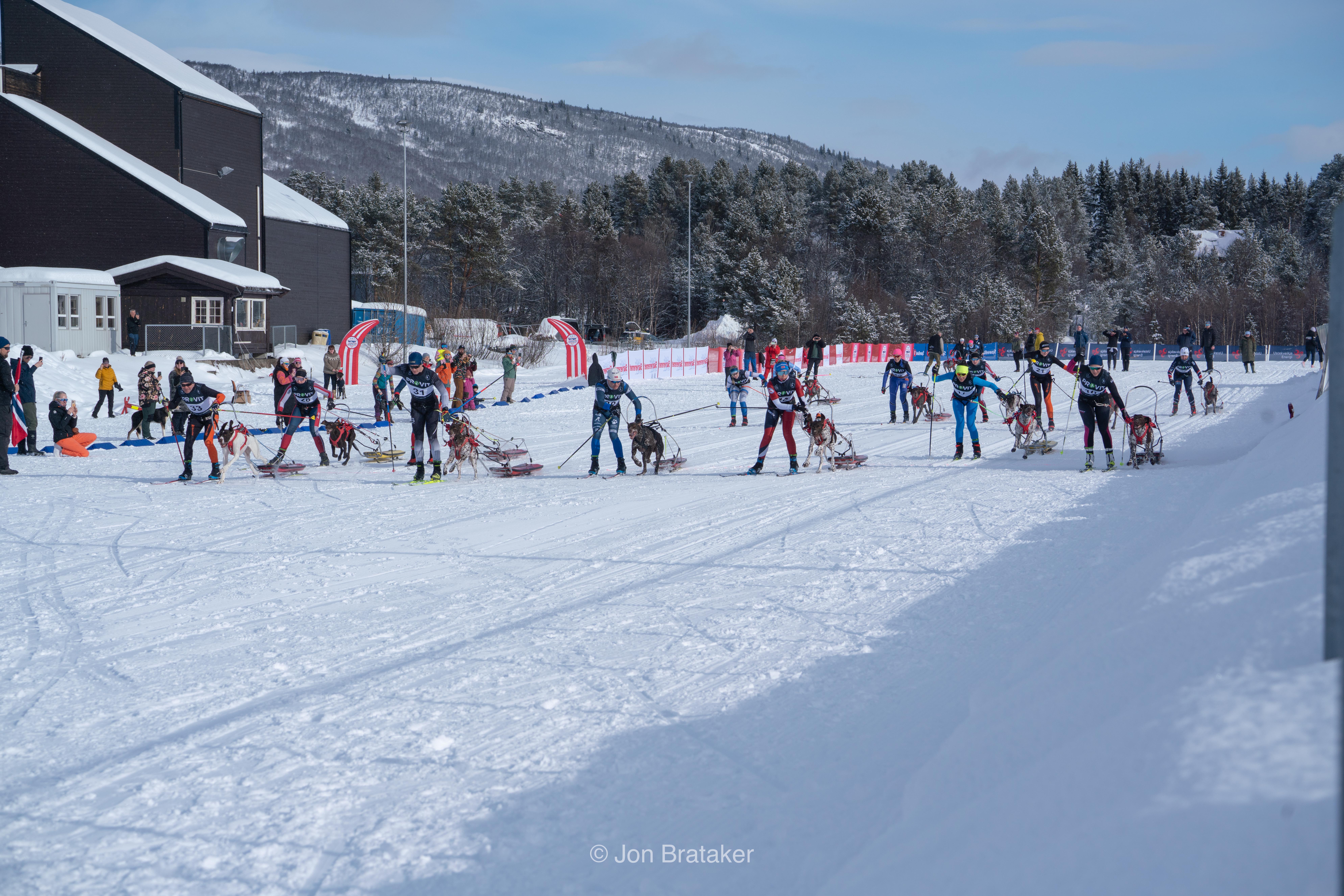 Image for Pulk - fremtid og tiltak! 