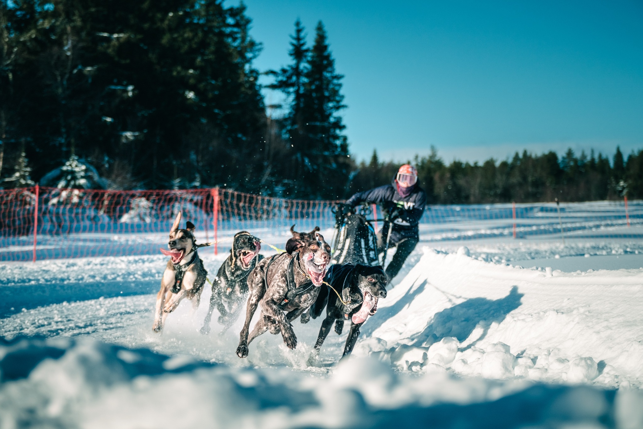 Image for TKS sp/md søker NM arrangører 2027 