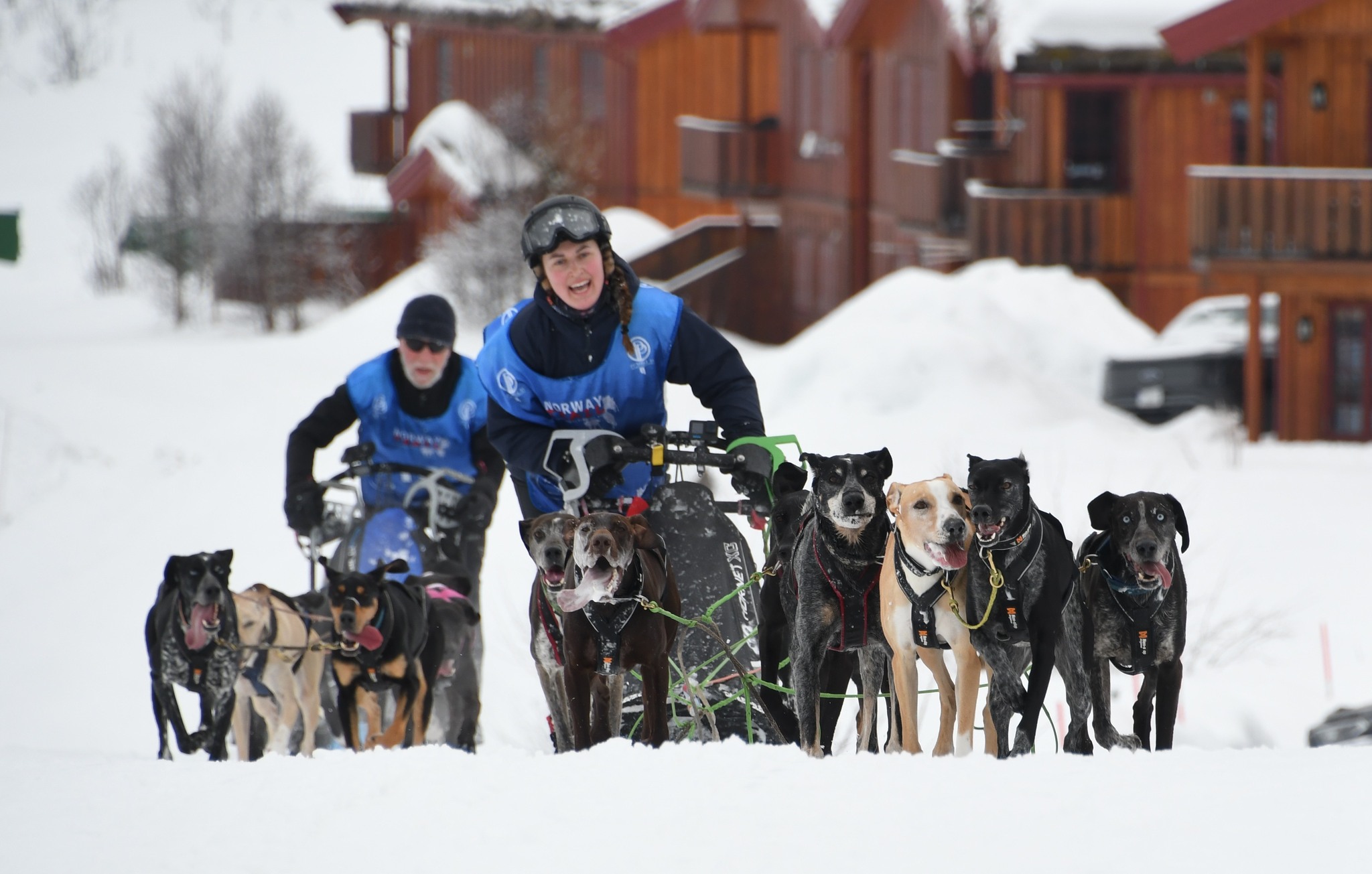 For en helg - vi gratulerer! 