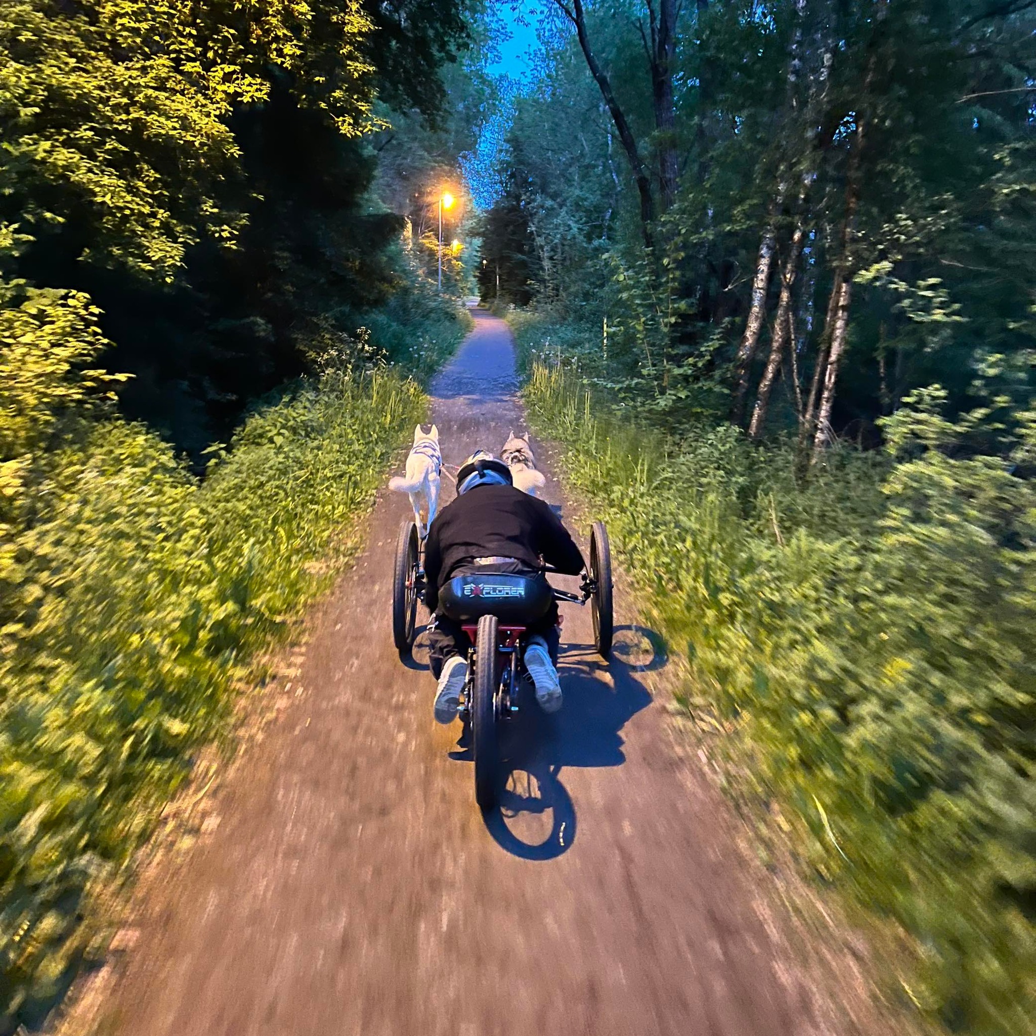 Image for Til idrettslagene: Husk å registrere aktive medlemmer med funksjonsnedsettelse i samordnet rapportering