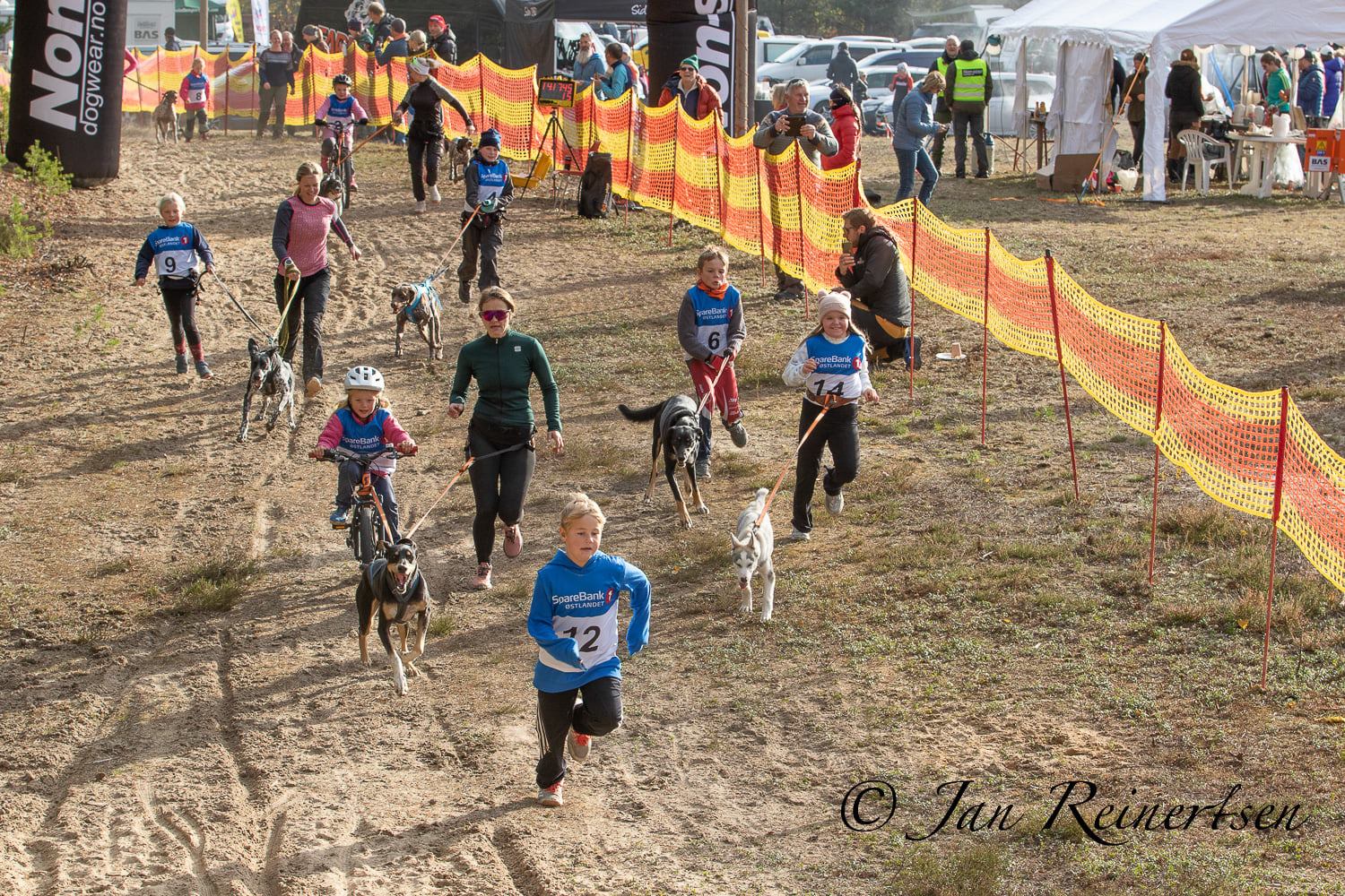 Image for Ikke film barn og unge på arrangementer i regi av NHF uten samtykke