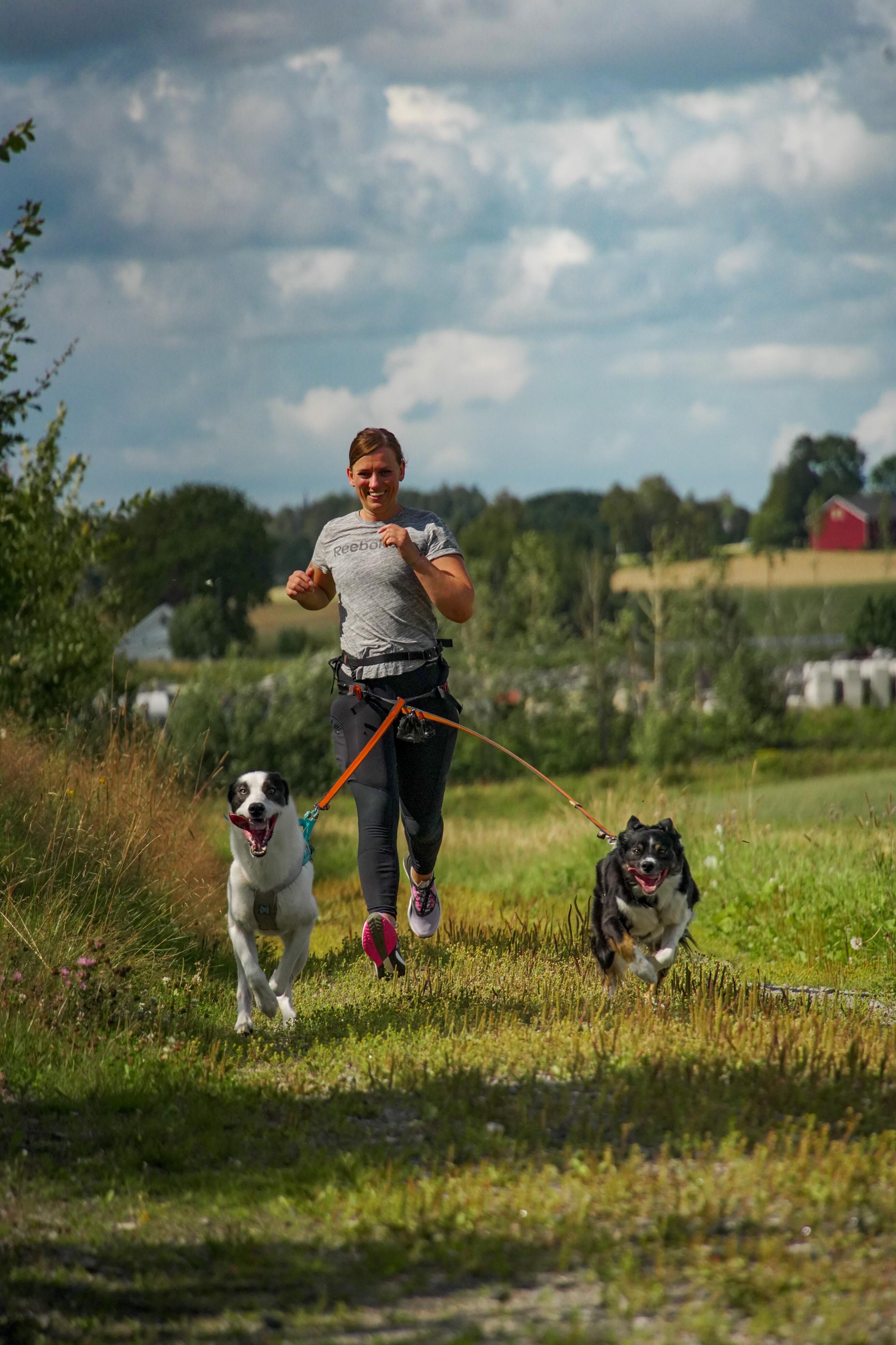 Image for Sjekk terminlisten barmark! 