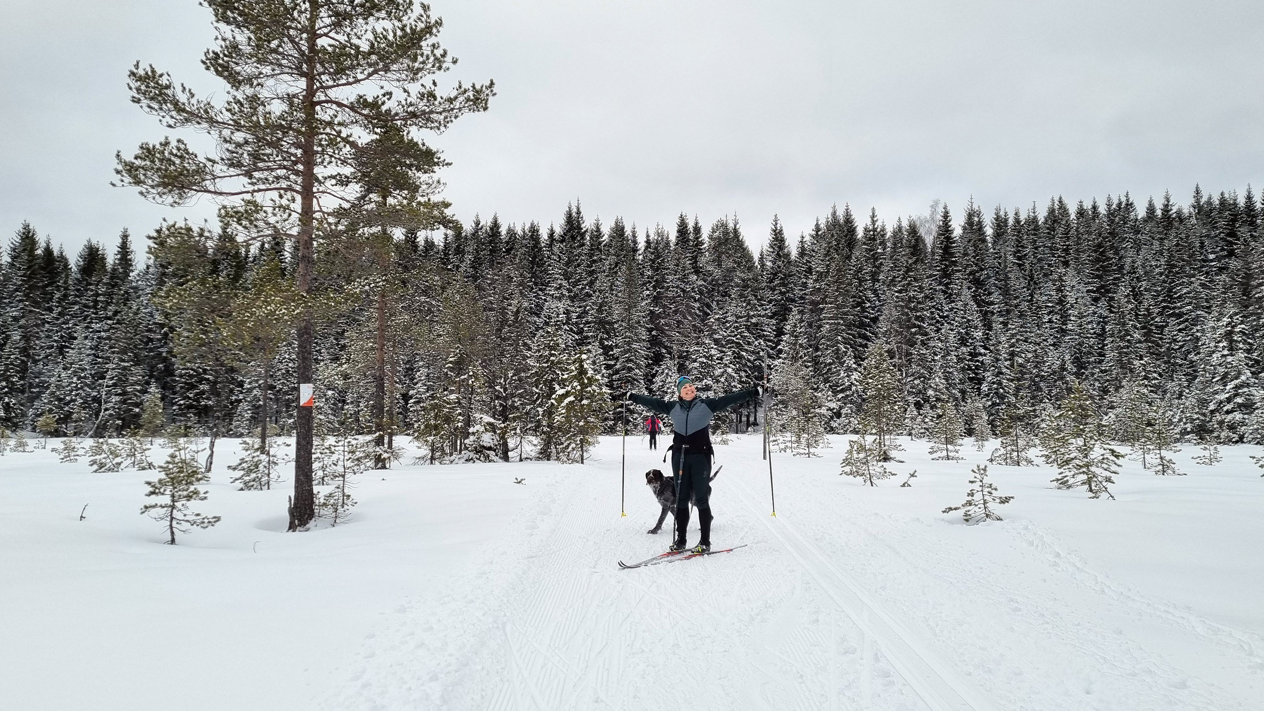 Innspurt for SkiTurOrientering i Nordmarka