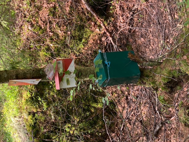 Nå er alle postene i 1. og 2. periode av OlaDilten 2024 ute i skogen og venter på besøk av deg.