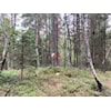 Post 64 Treholtdammen