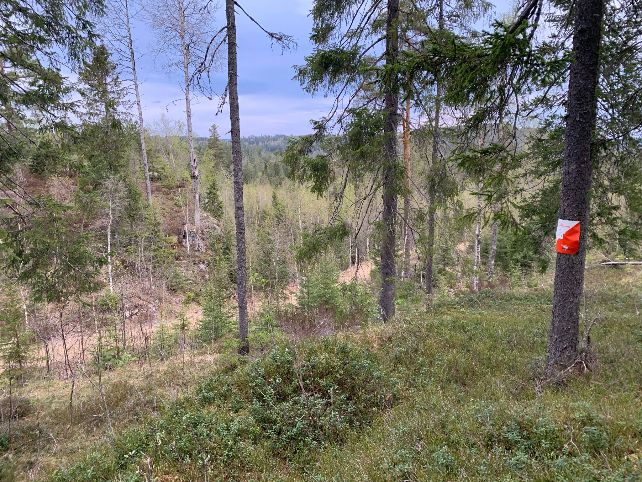 Bli kjent med FNF Buskerud