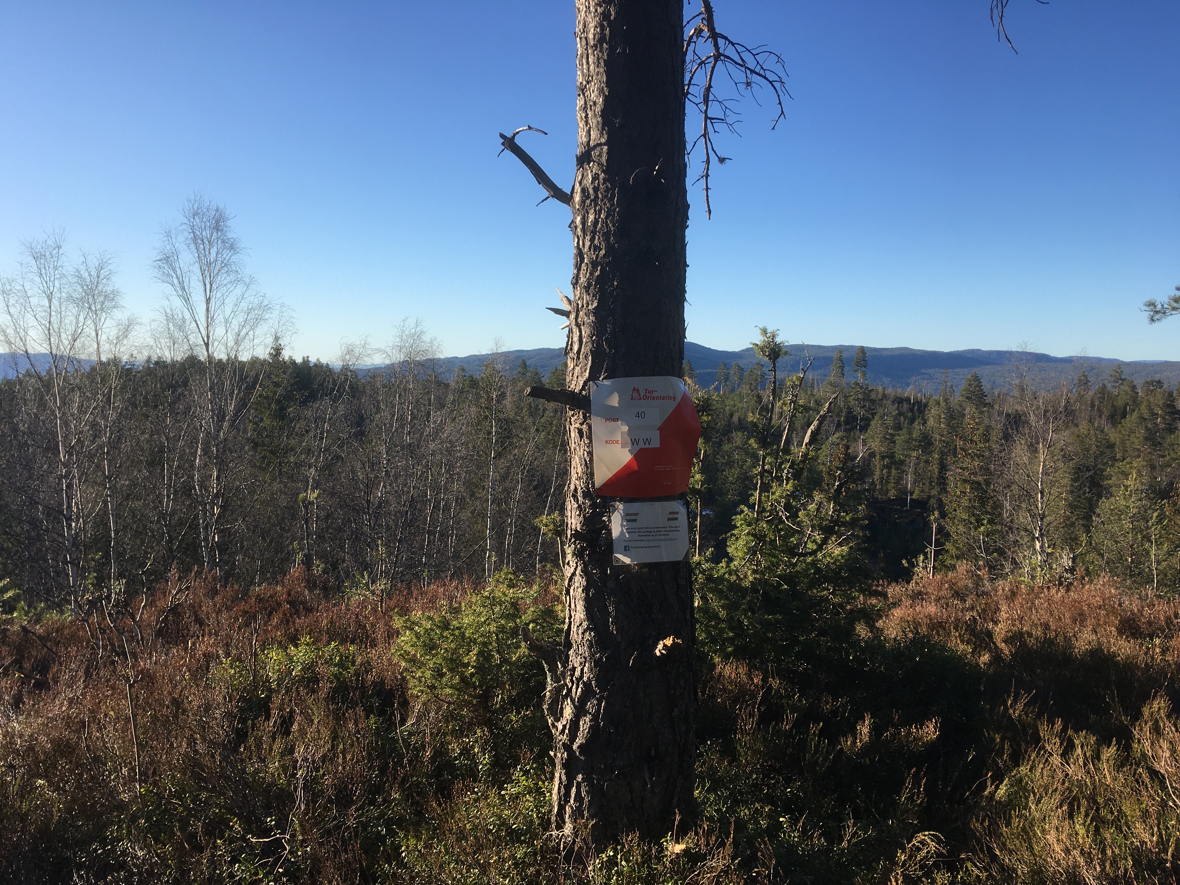 Deltageroversikten for turO 2025 er nå tilgjengelig.