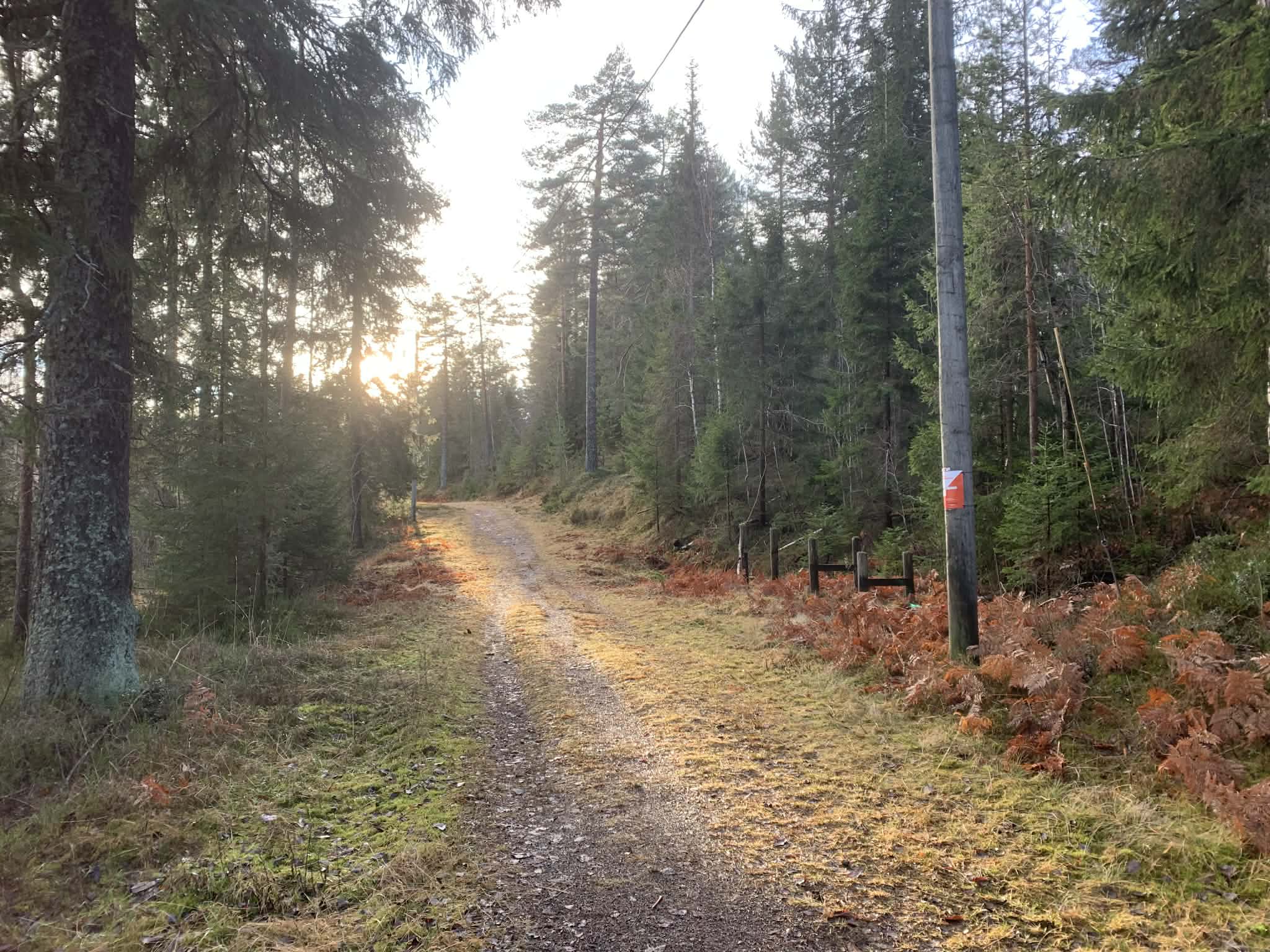 Gode forhold for vinter-turO til fots