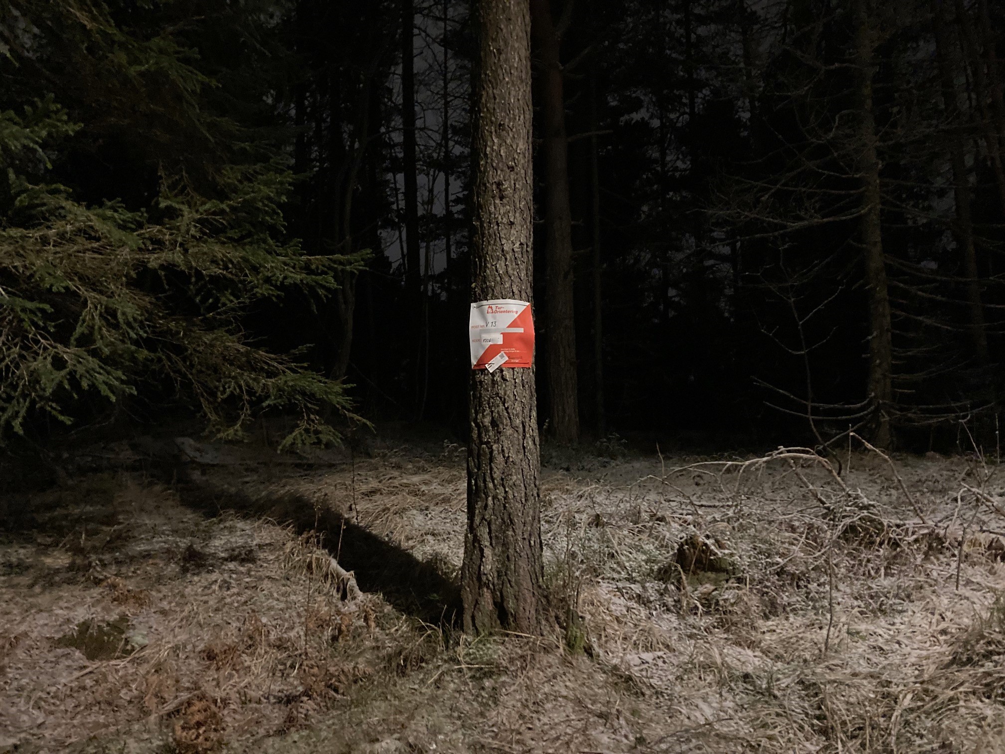 Postsjekk i Strømsåsen