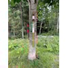 Stolpejakt 3 satt ut