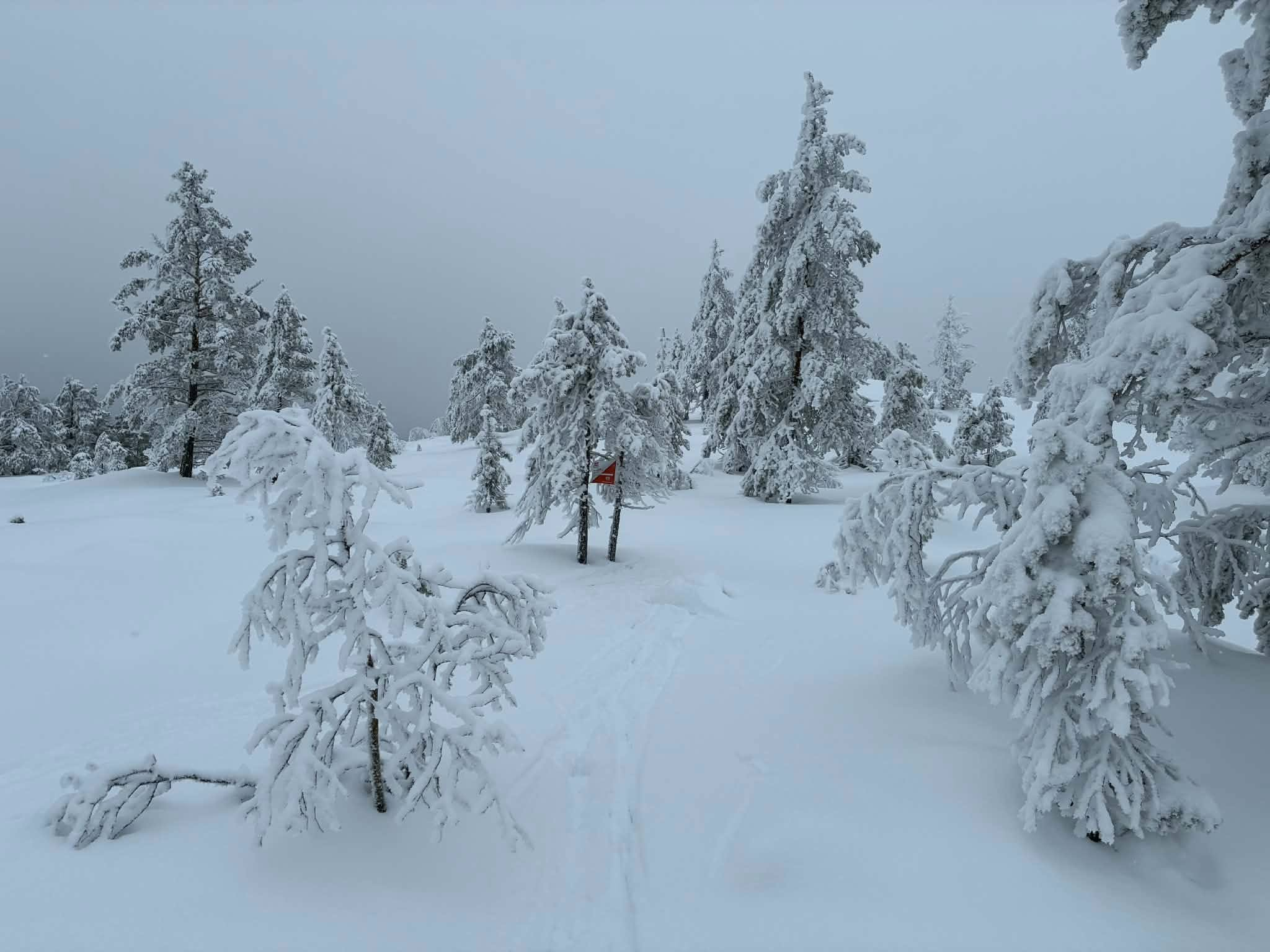 Image for Vinter på toppen av Mjøndalsskauen