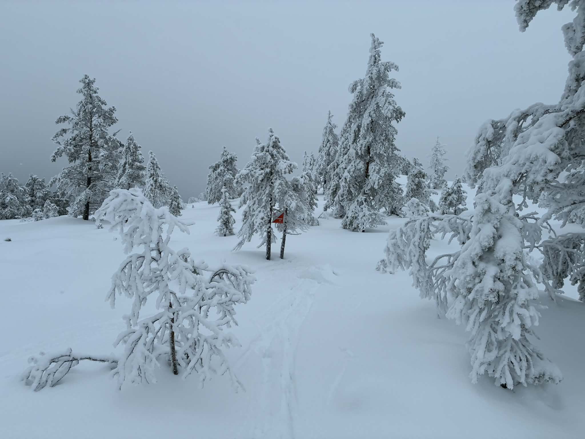 Vinterlige forhold på Vestknabben