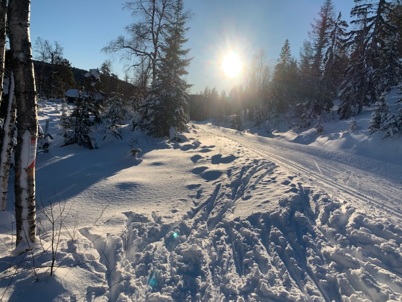 Test av nyhetsfunksjon