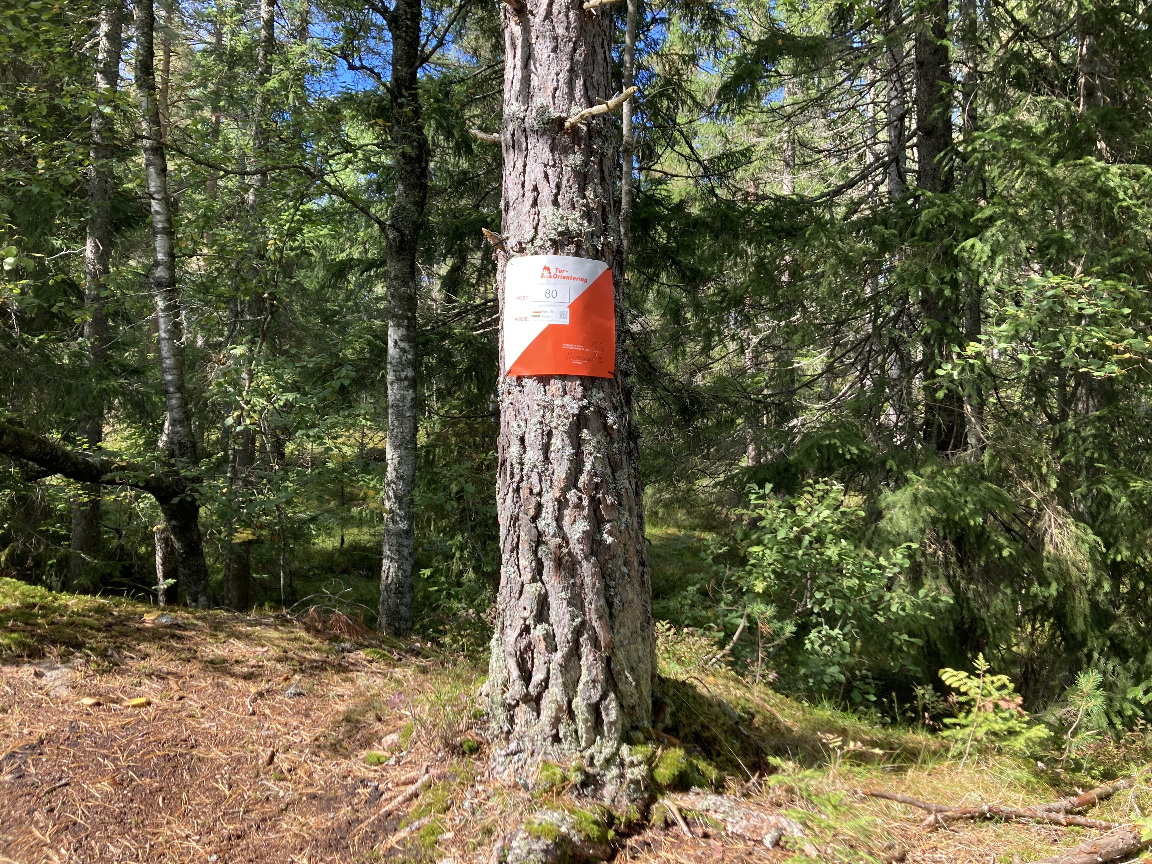 Ett døgn igjen av sesongen