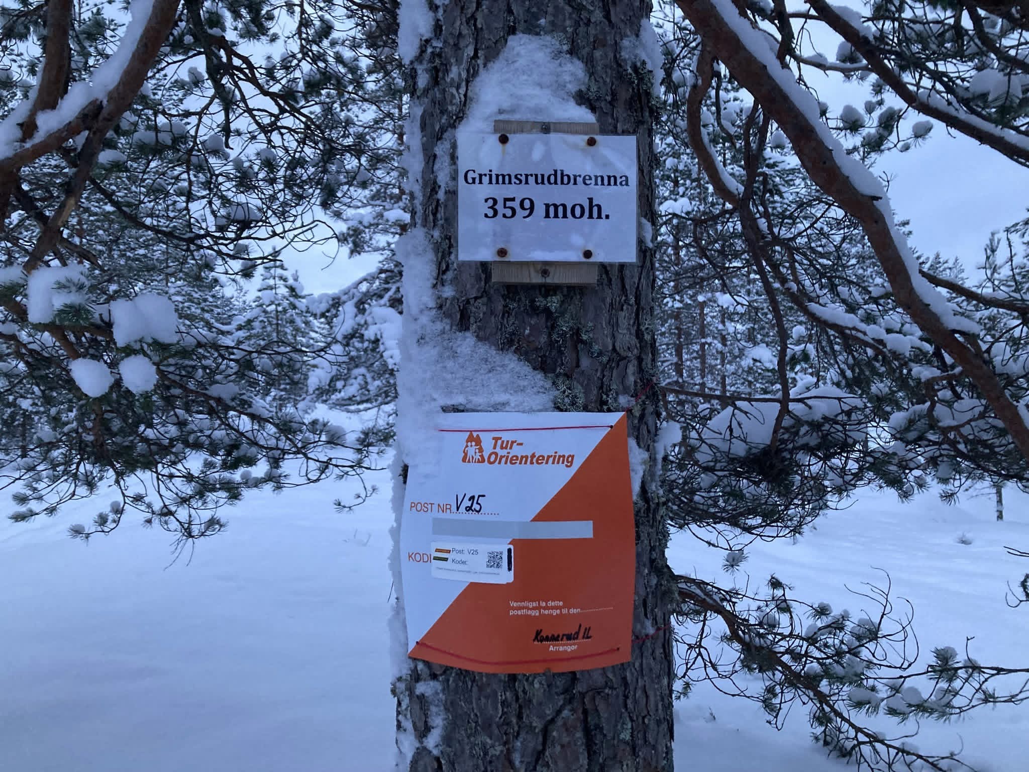 Toppen av Grimsrudbrenna