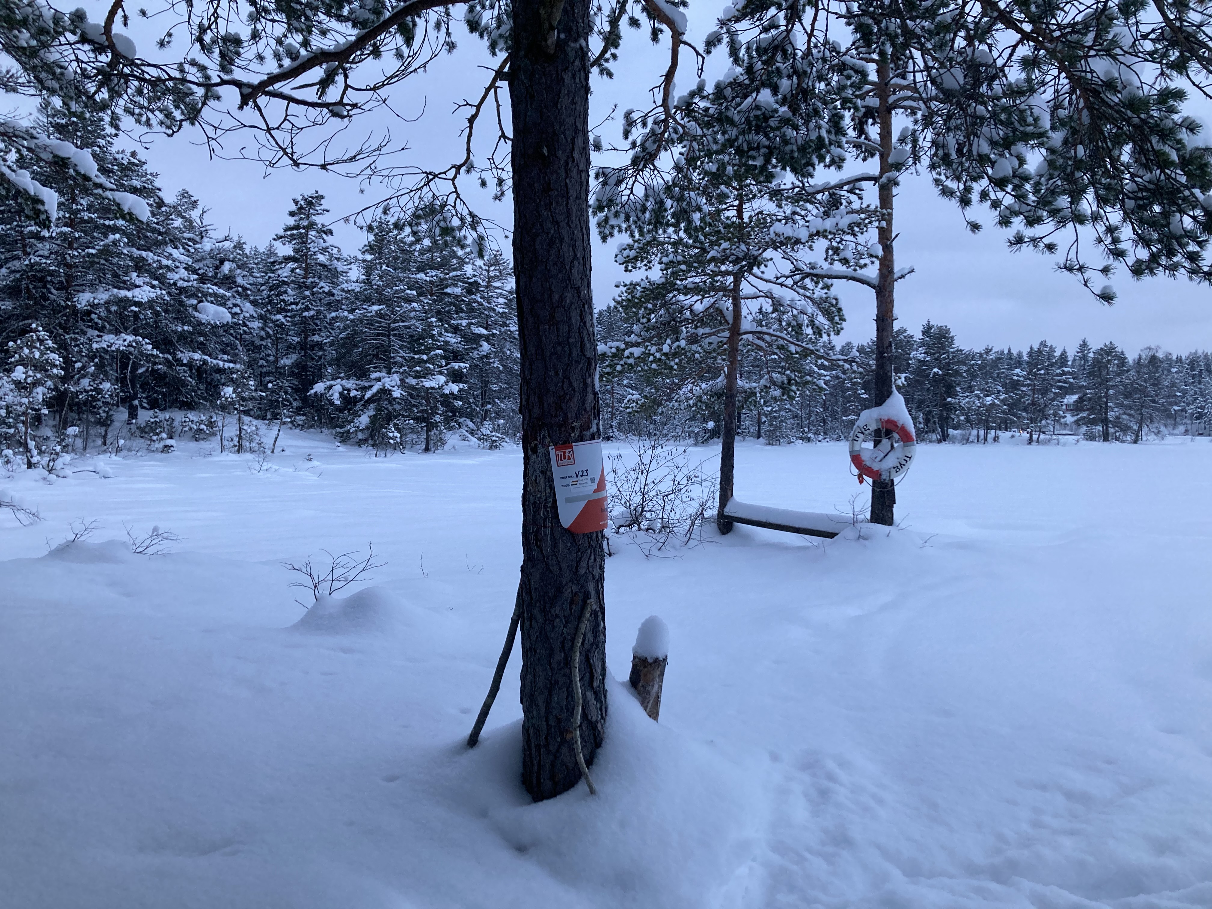 Postjakt på en grå dag