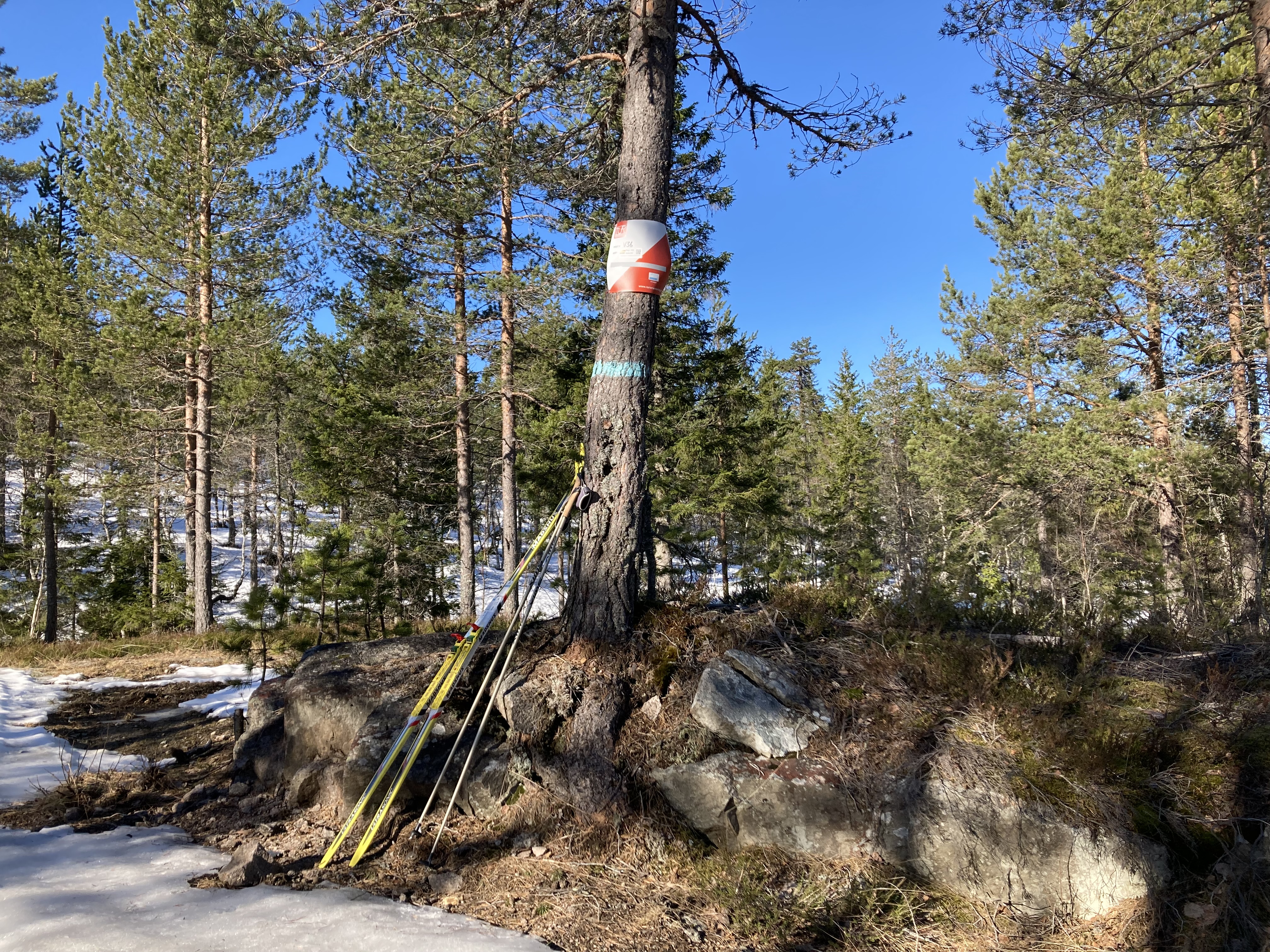 Siste vinterposter er tatt ned