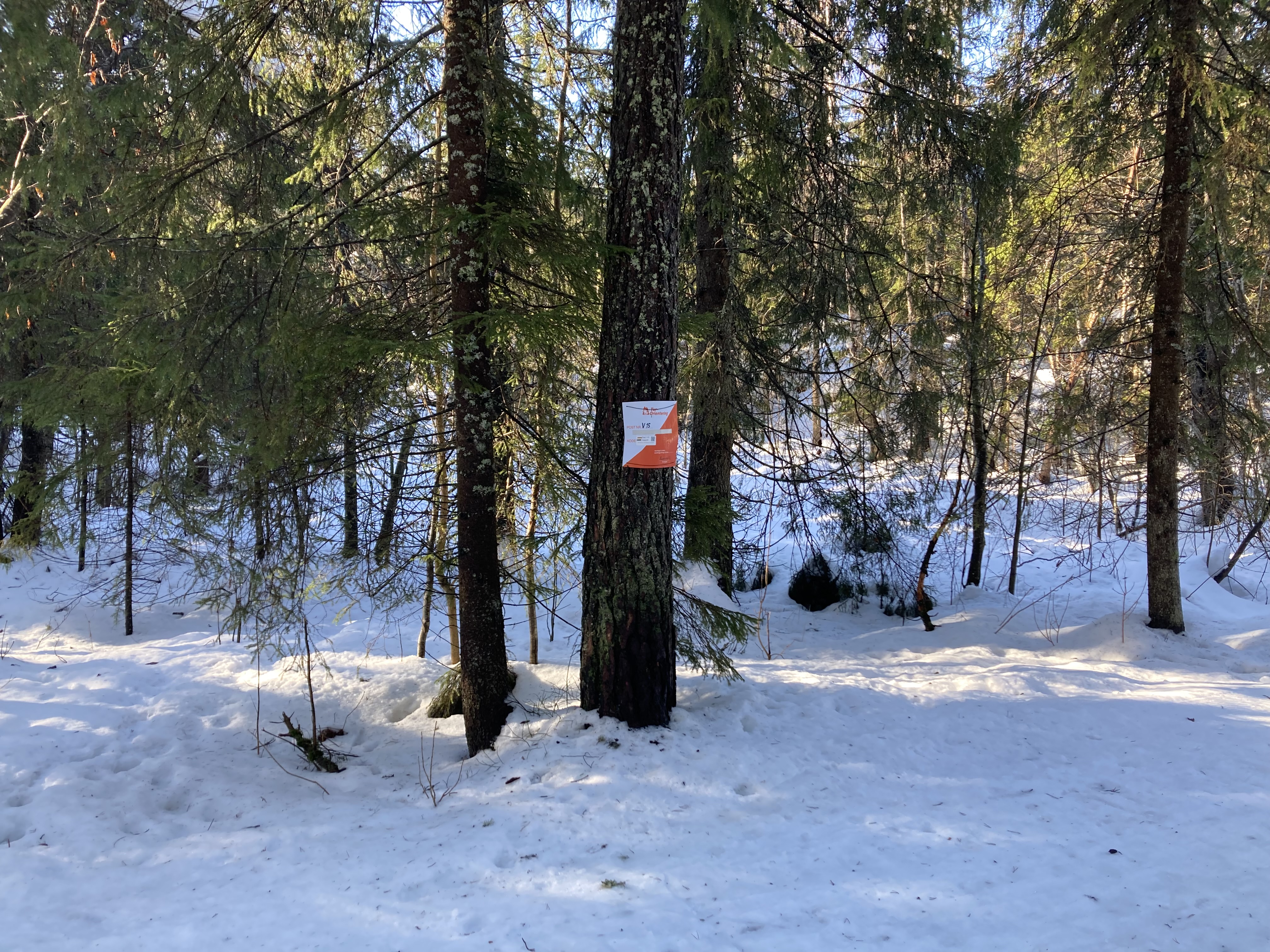 Fortsatt skiføre i Strømsåsen