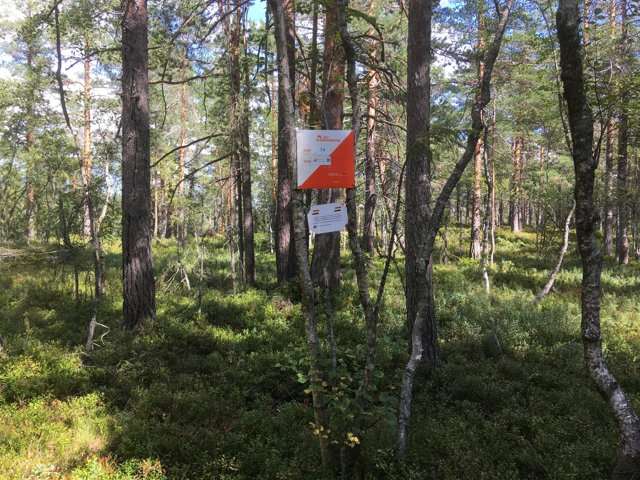 Sommersesongen er i gang