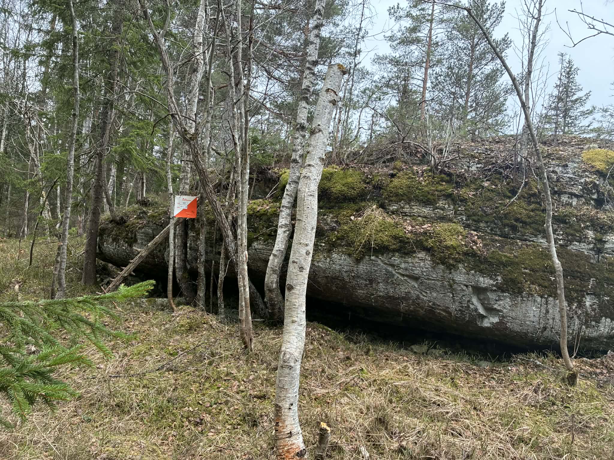 Rød tur Hyllåsen er nå satt ut.
