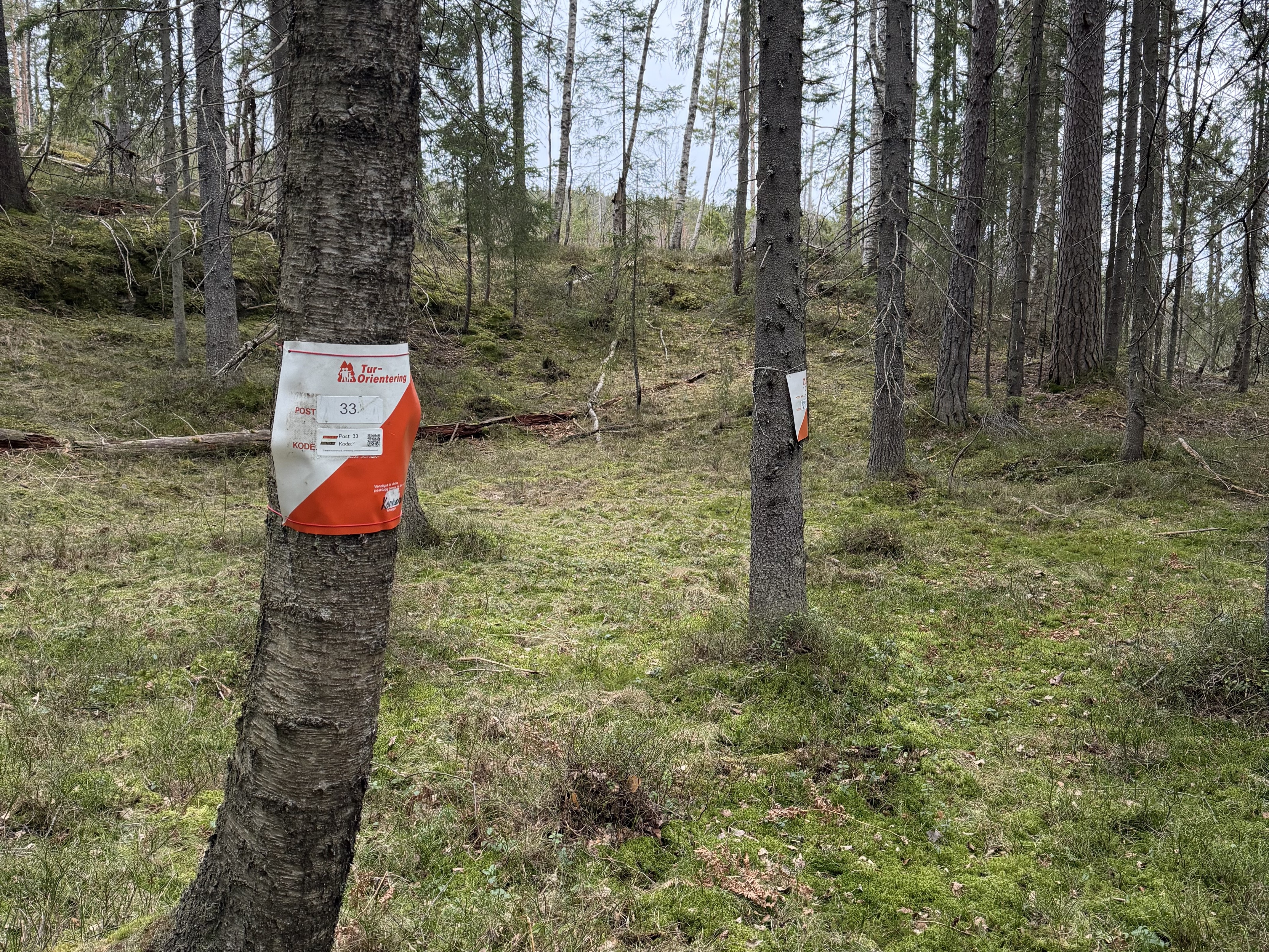 Myra med 2 postflagg