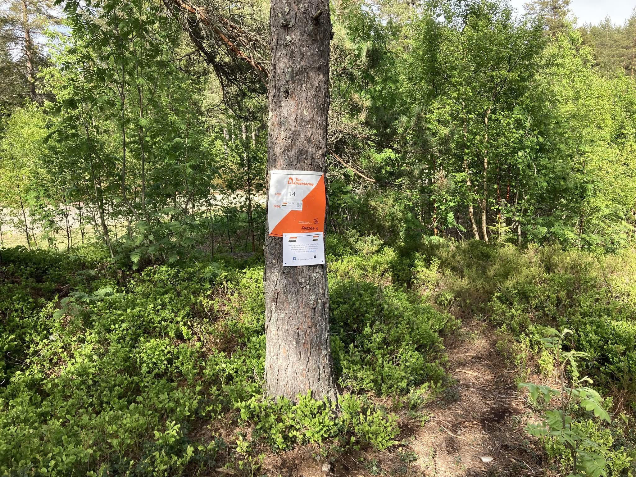 Post 14 - Skogselskapets gapahuk