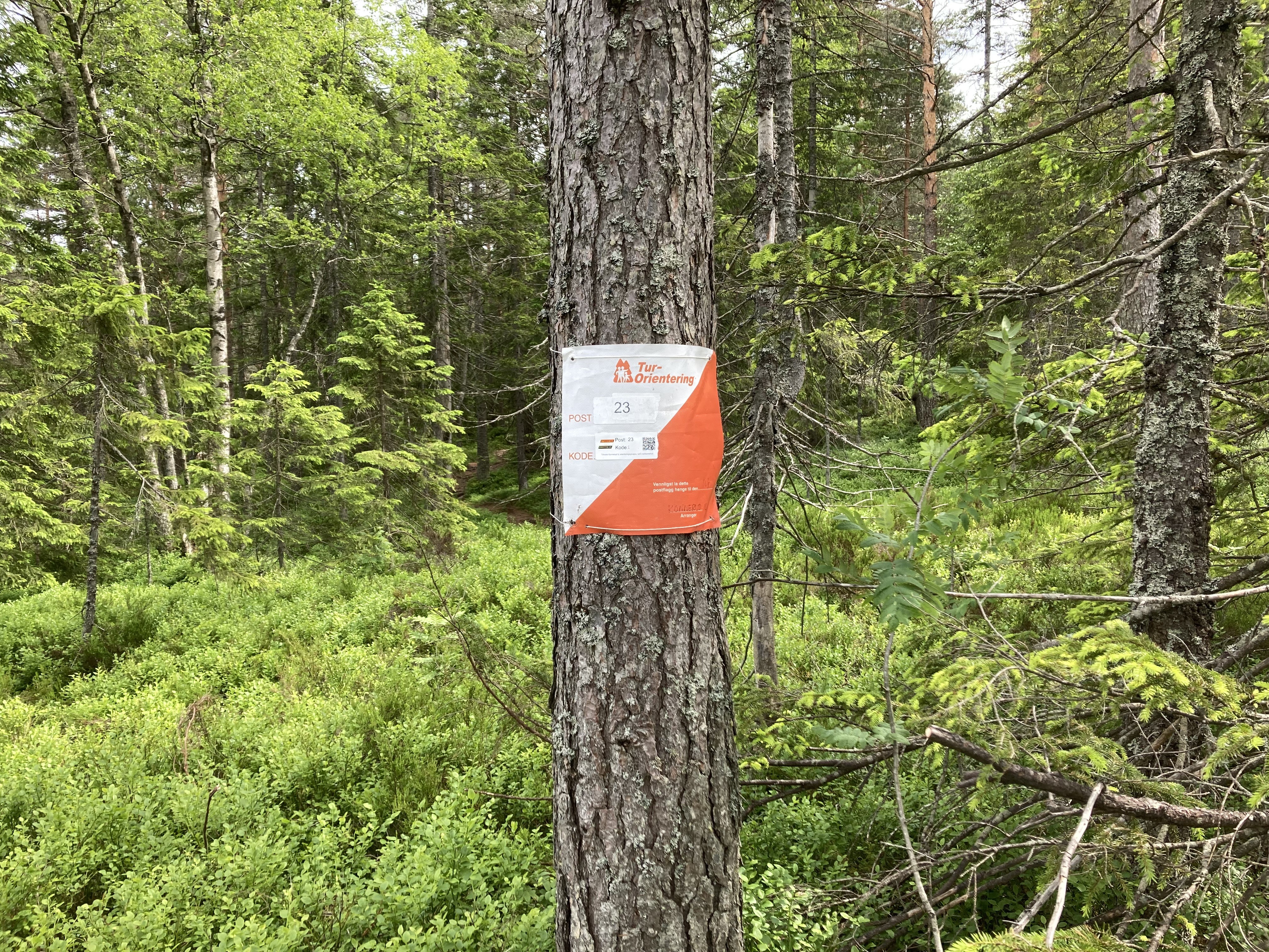 Post 23 - Utsiktspunkt Drafnkollen