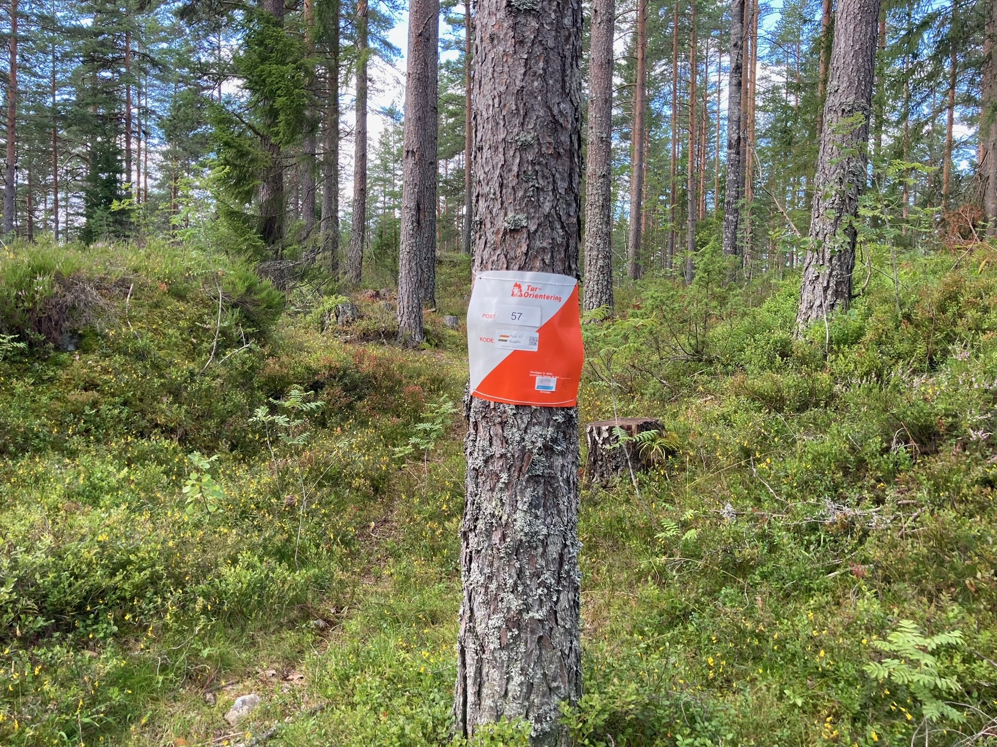 TurOrientering som ferieaktivitet
