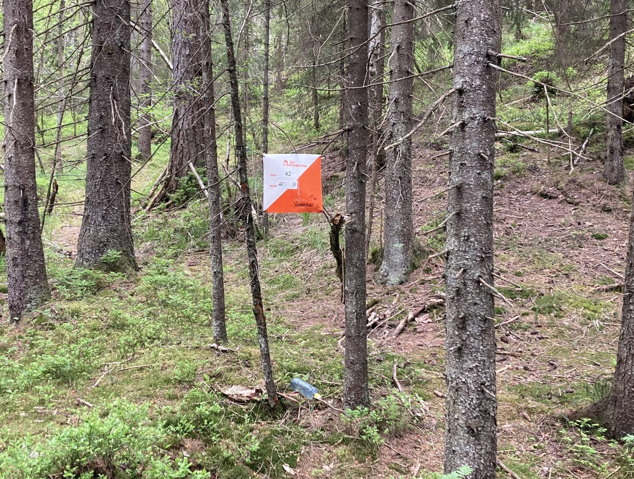 Post 42 Skjeldrumdammen