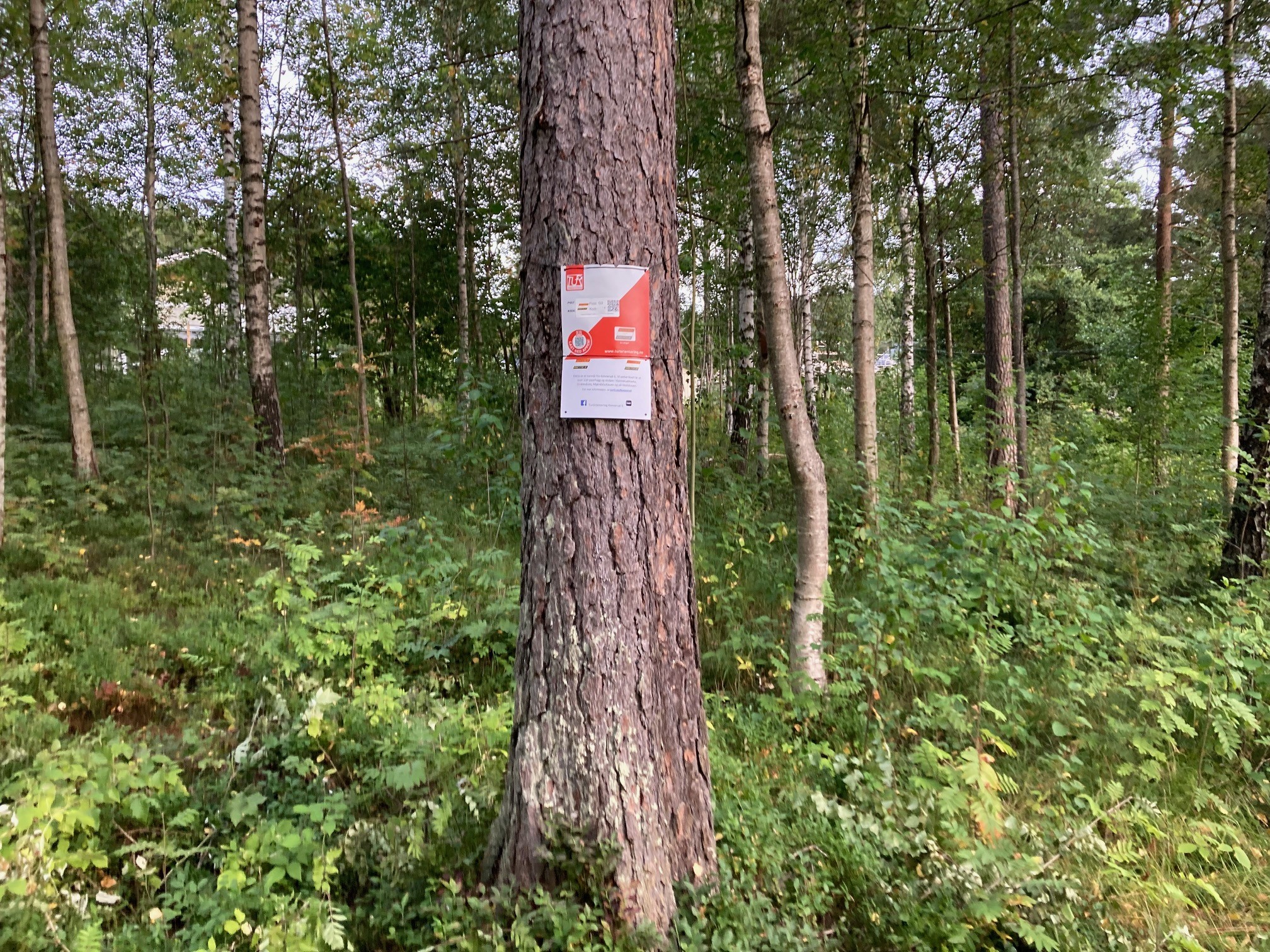 Flere grønne turer