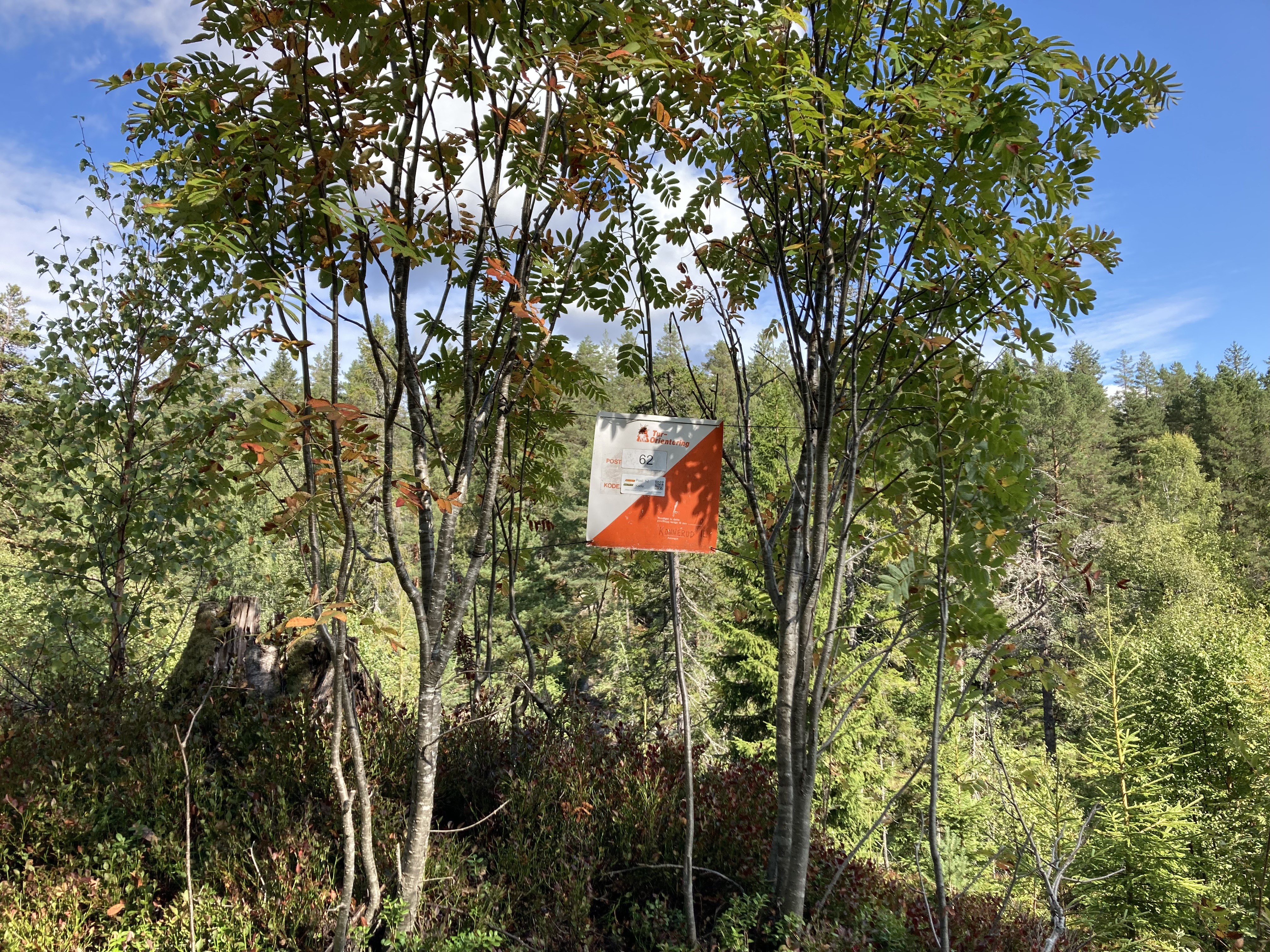 Post 62 - Løken