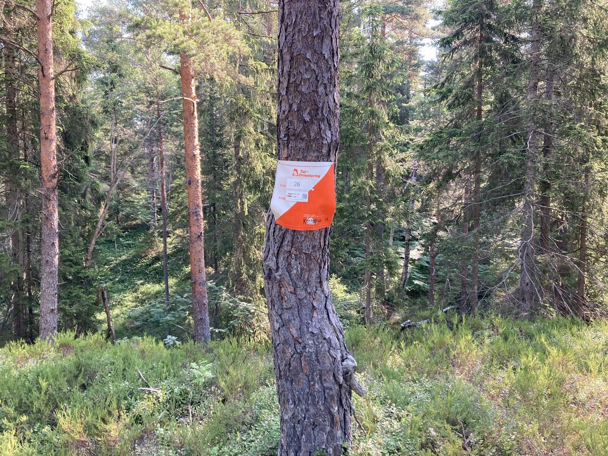Post 26 - Austadmarka naturreservat