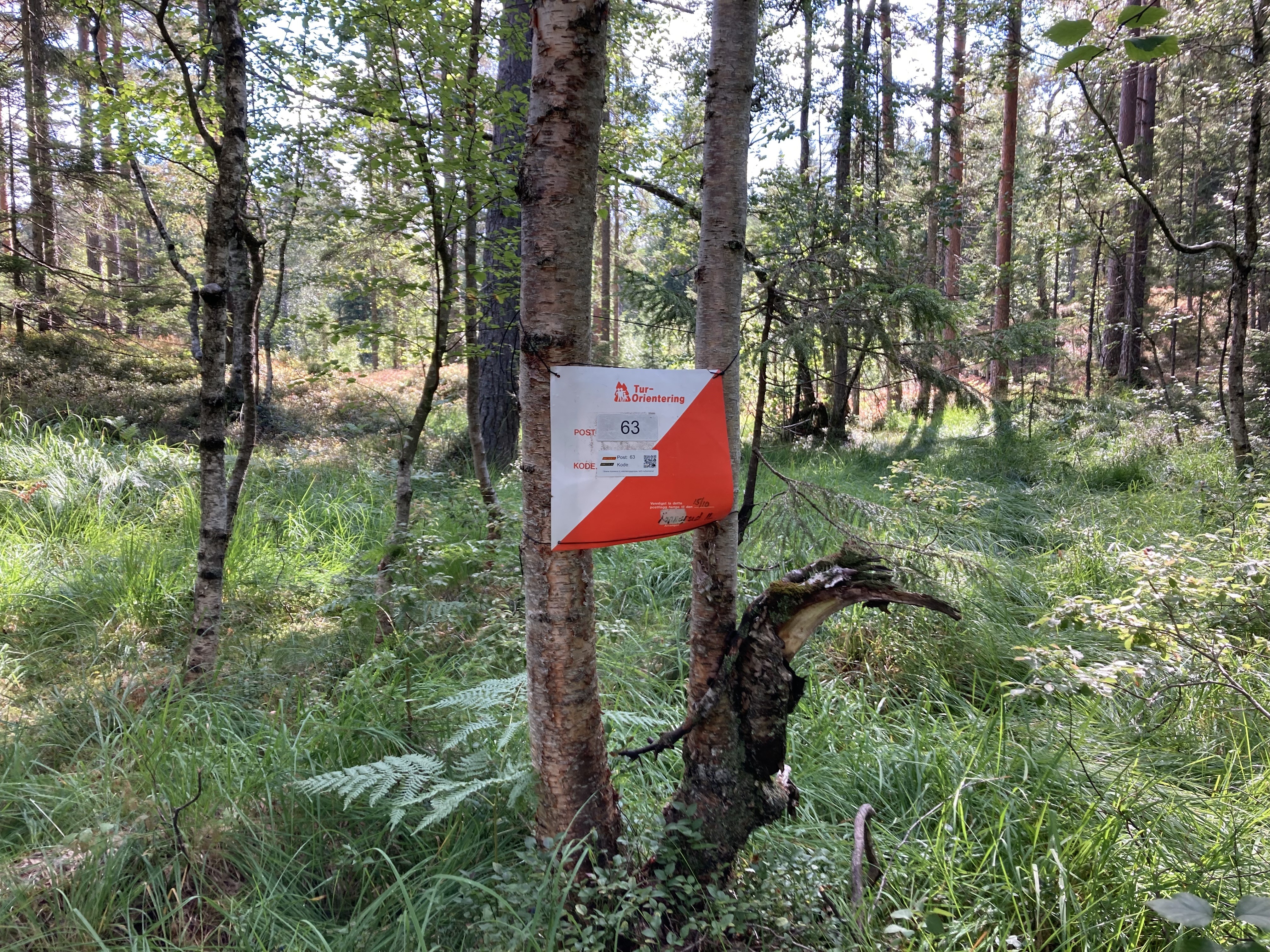 Tid for sanking 