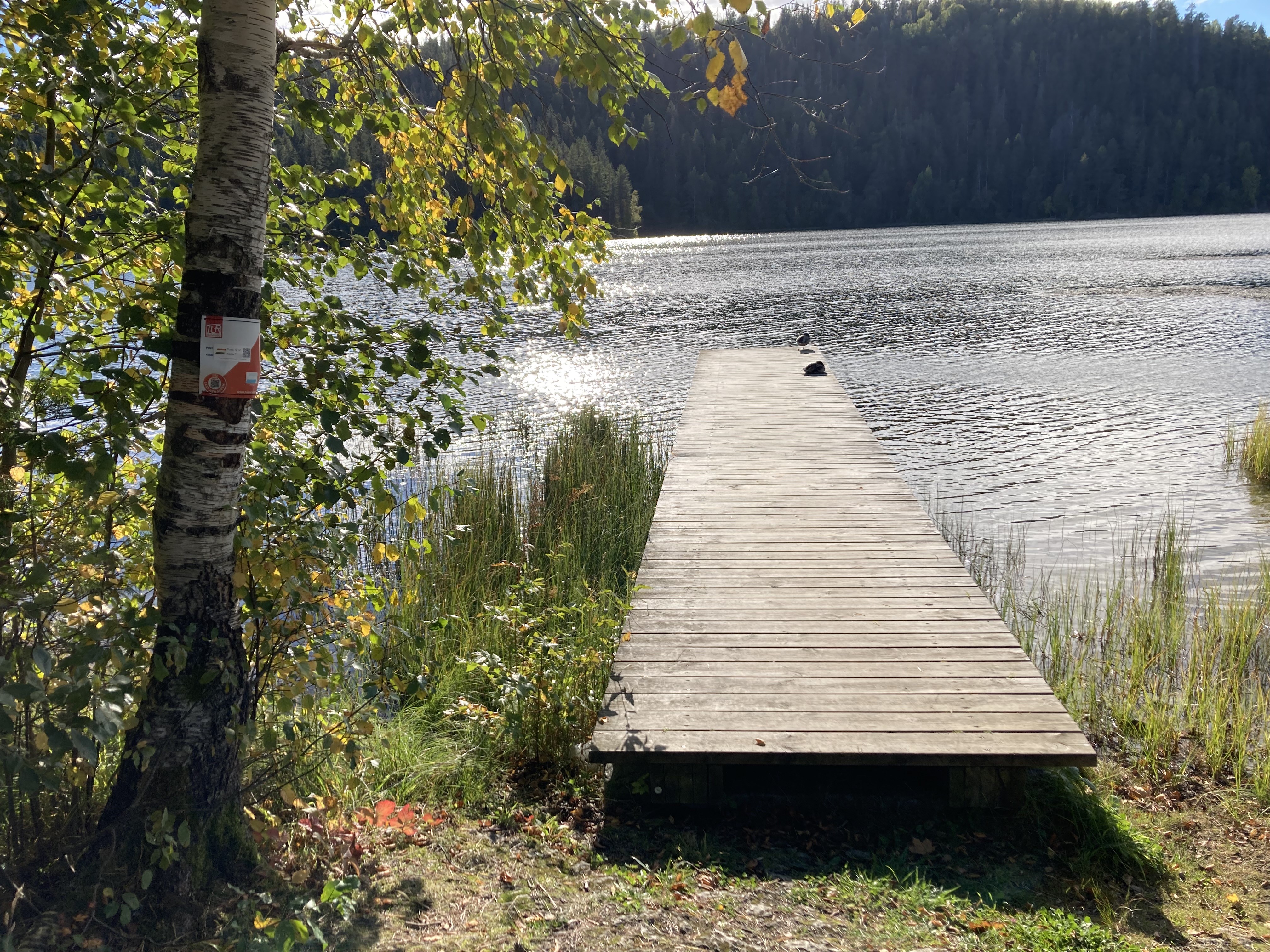 Endene ved Stordammen