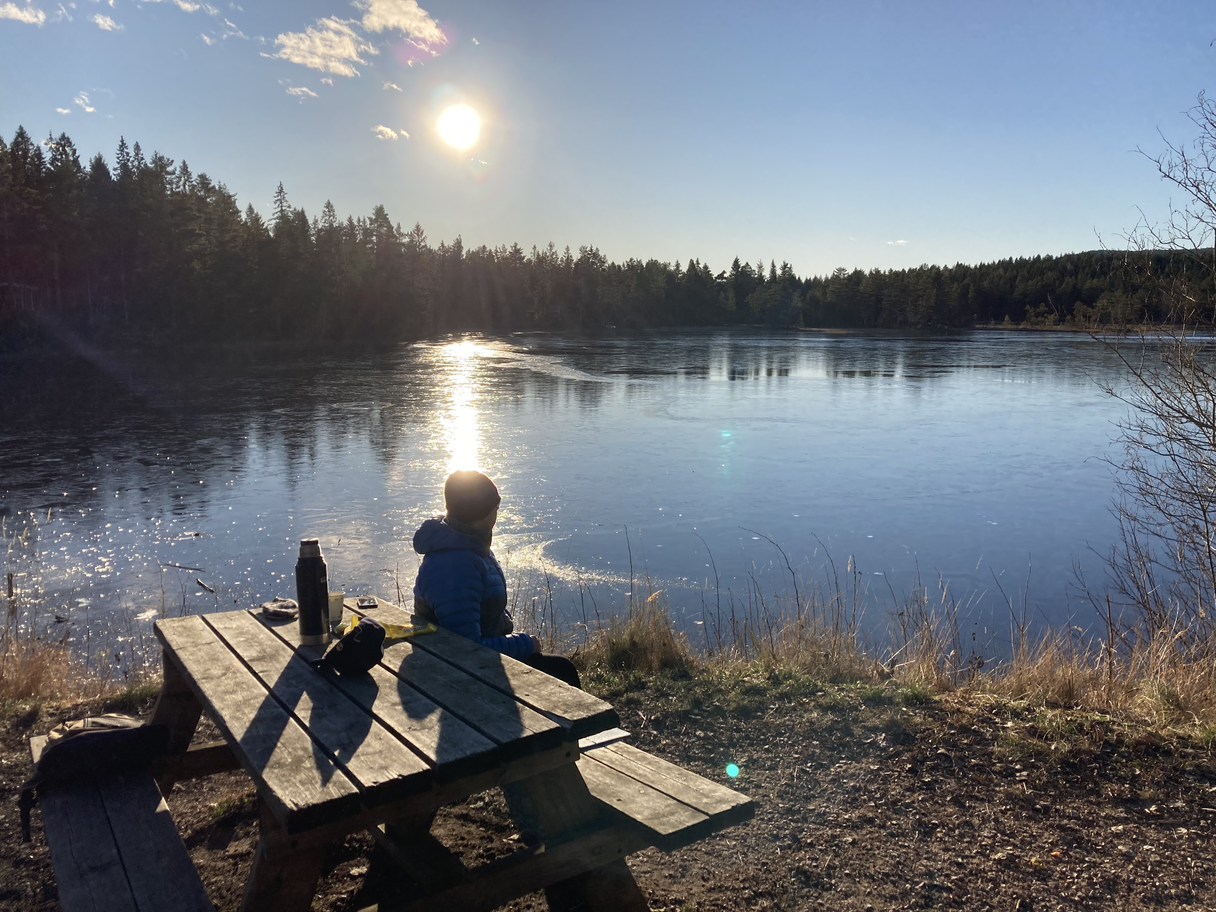 Friluftsloven 
