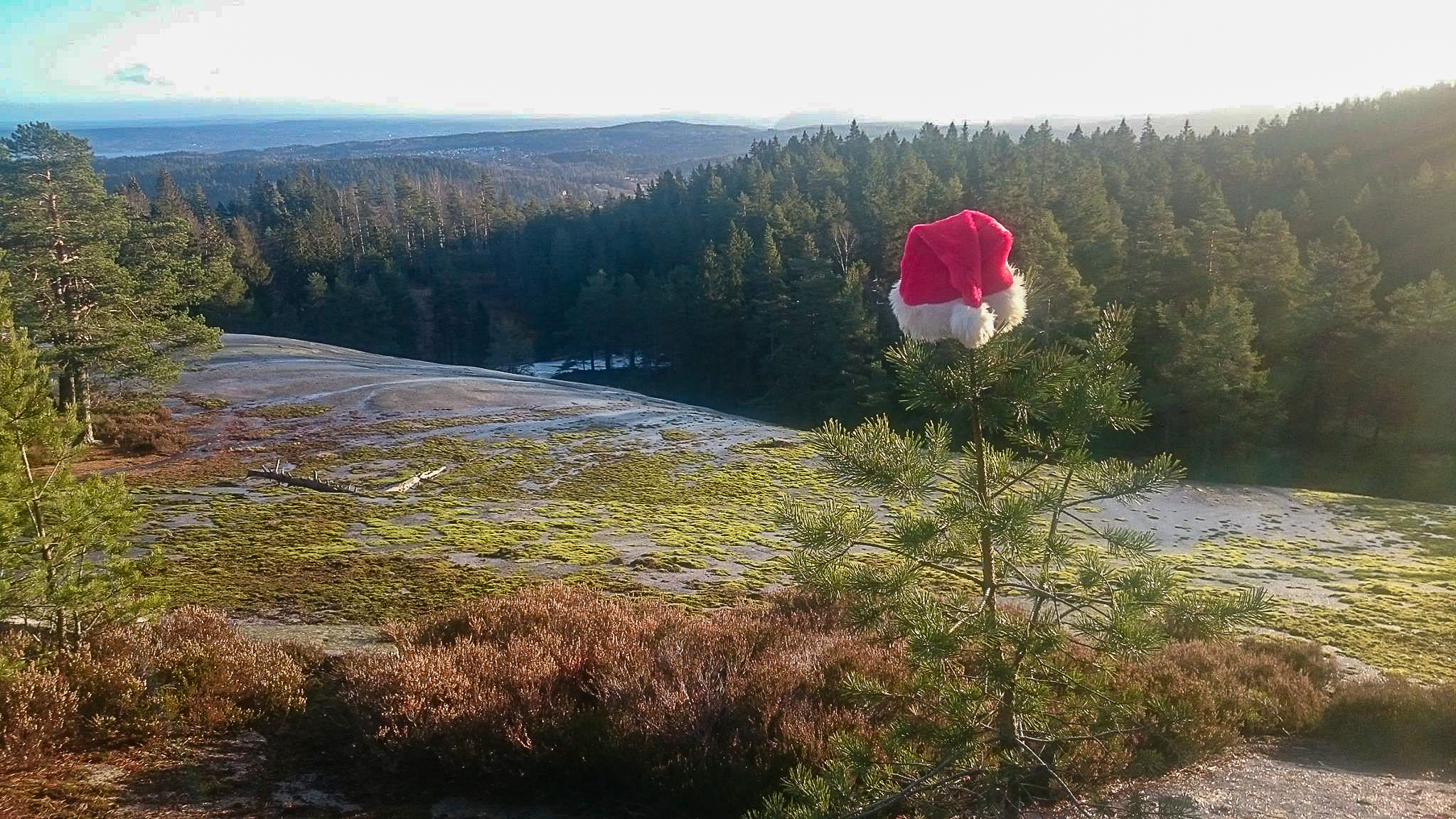 God jul og godt nytt tur-o-år 2026