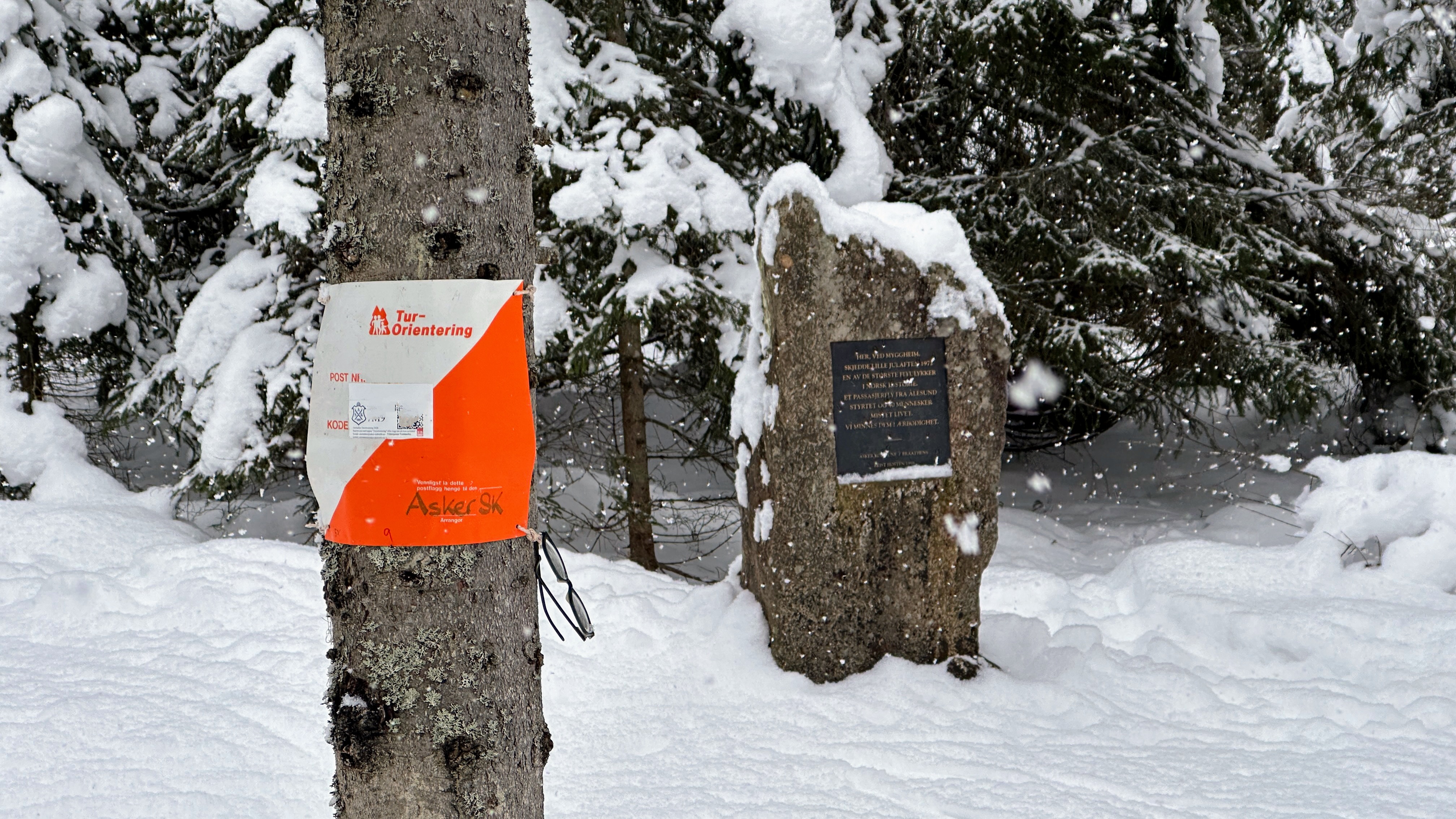 Image for Flyulykken ved Myggheim i 1972