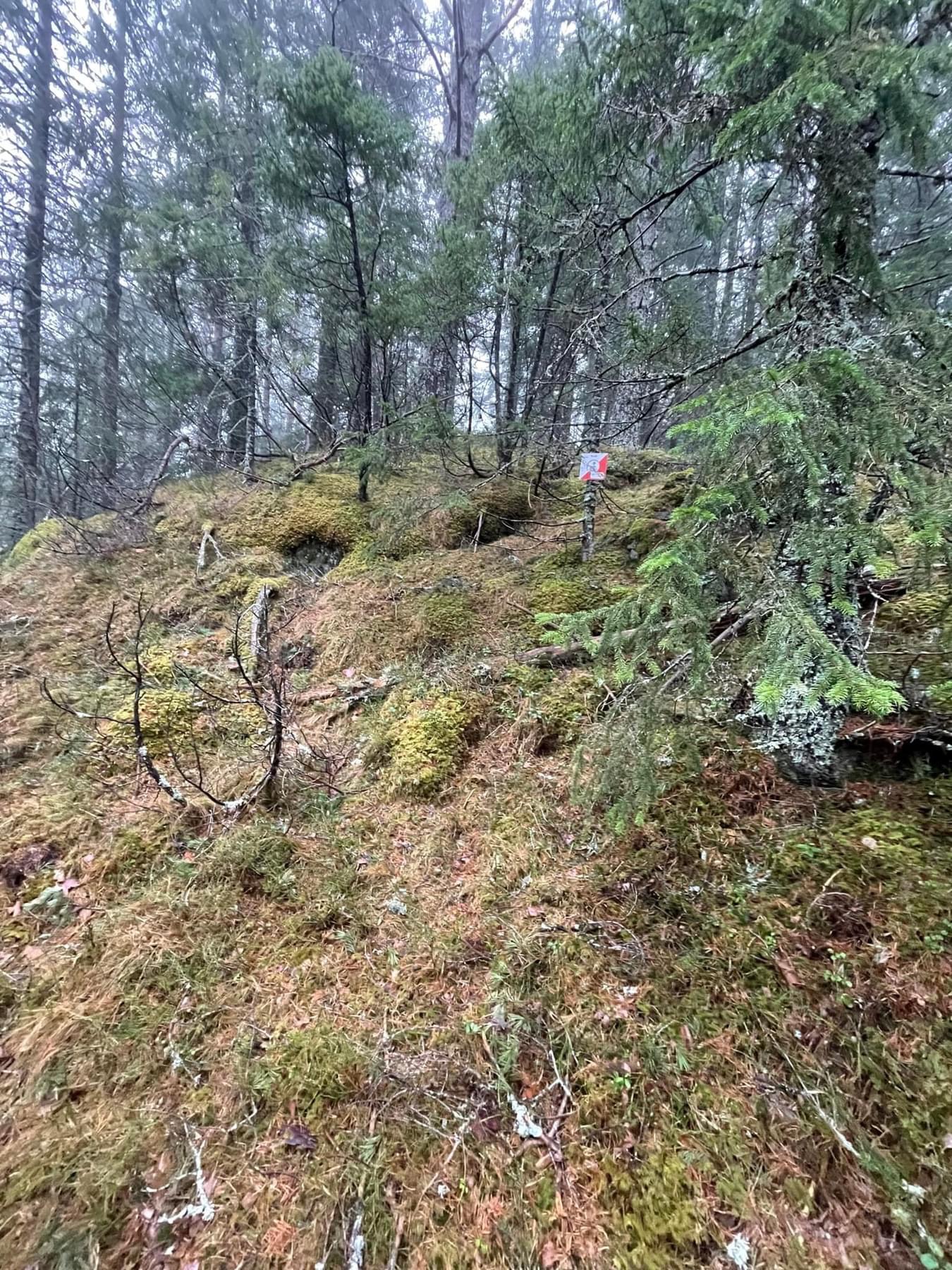 Image for Våren kom tidlig i år. Post 1 - 10 og 55 - 76 står ute.