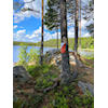 Grønn tur på Ellingsjøen